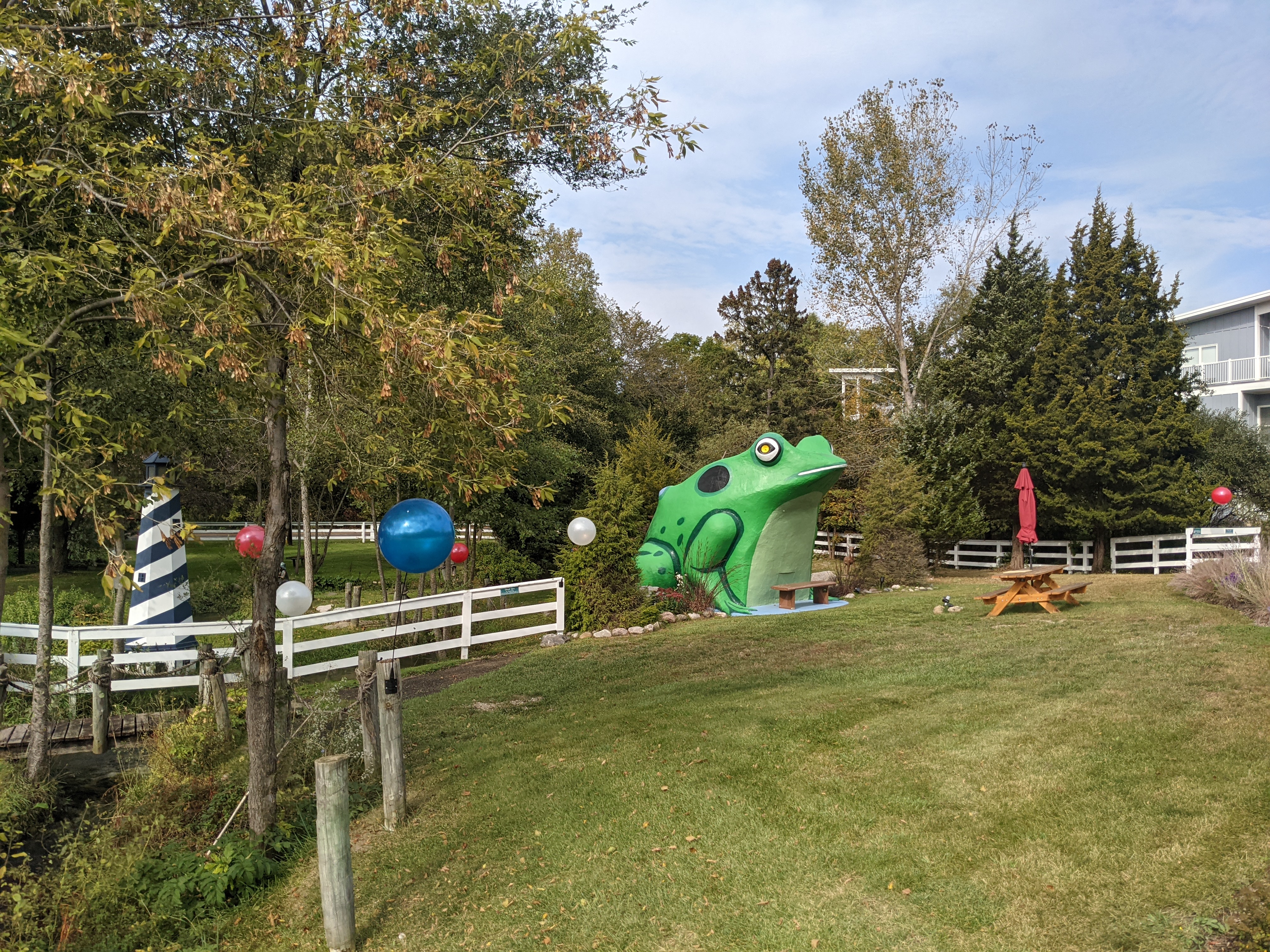 Fontana C. Frog photo 4