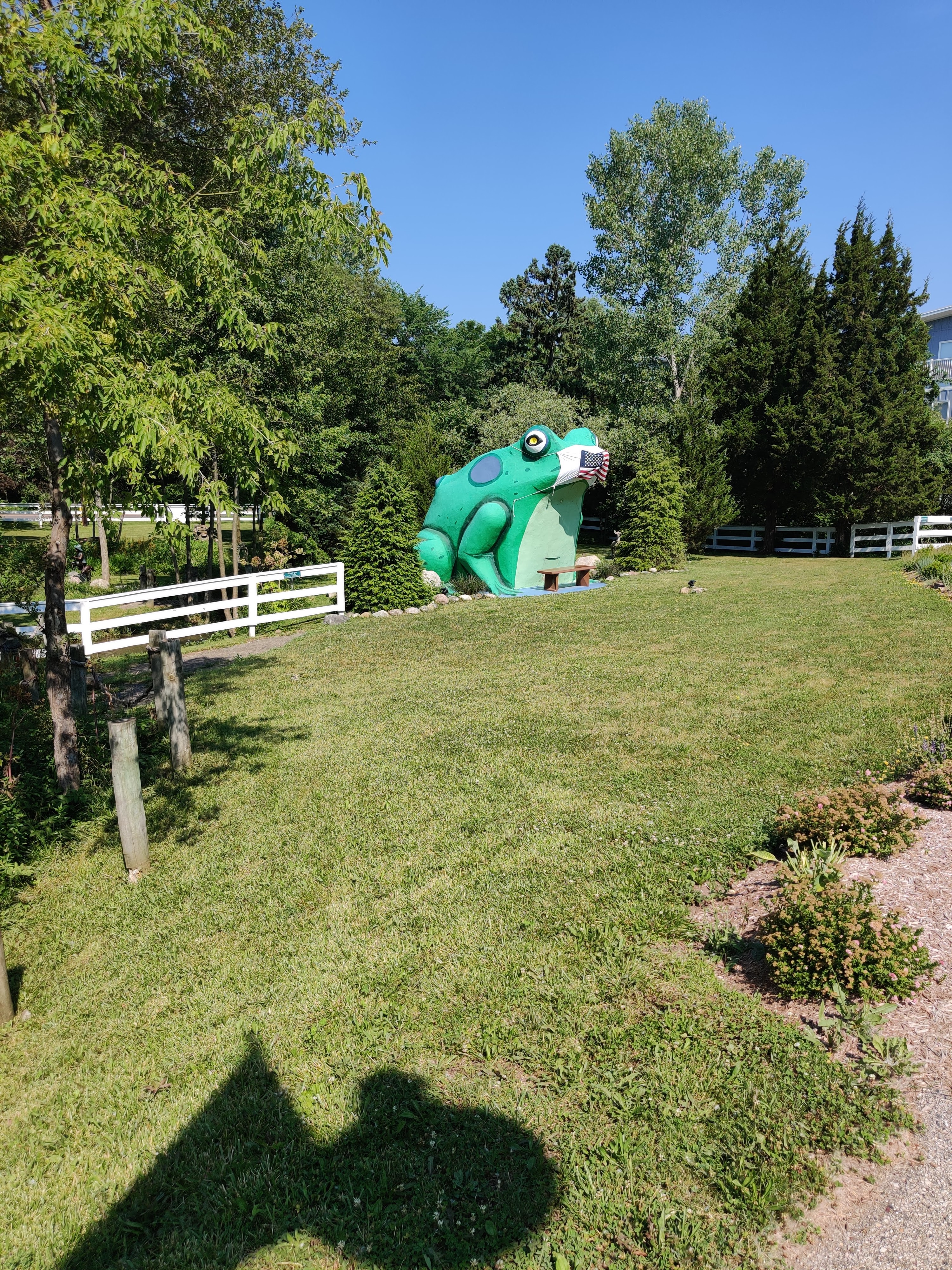 Fontana C. Frog photo 6