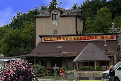 Animal Gardens Petting Zoo photo 2