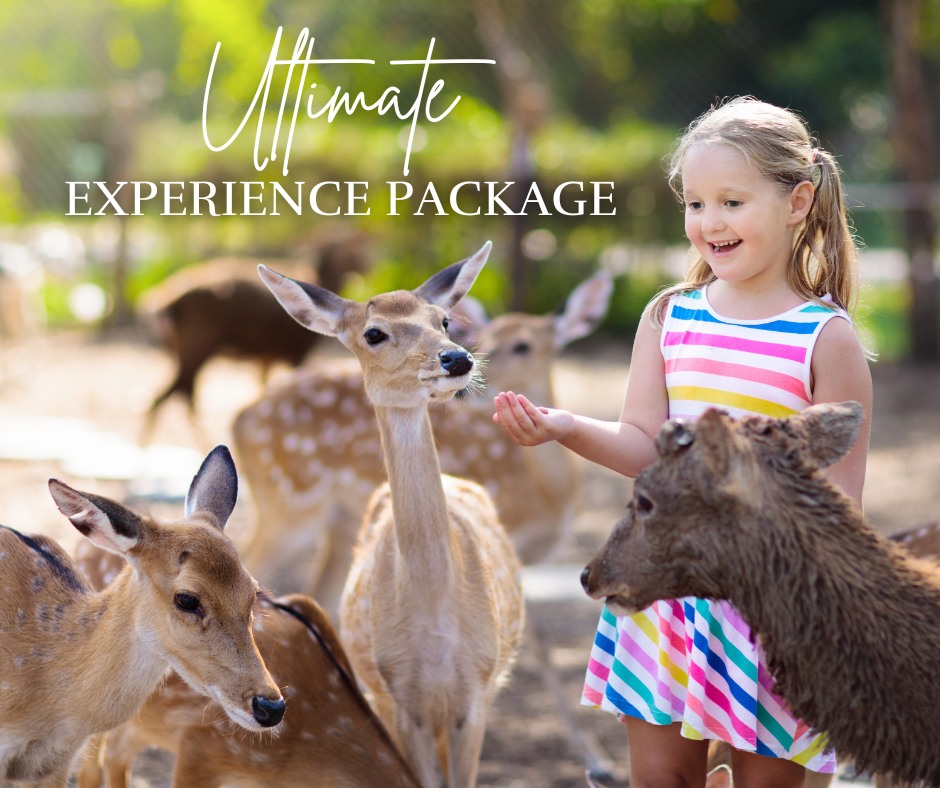 Animal Gardens Petting Zoo photo 5