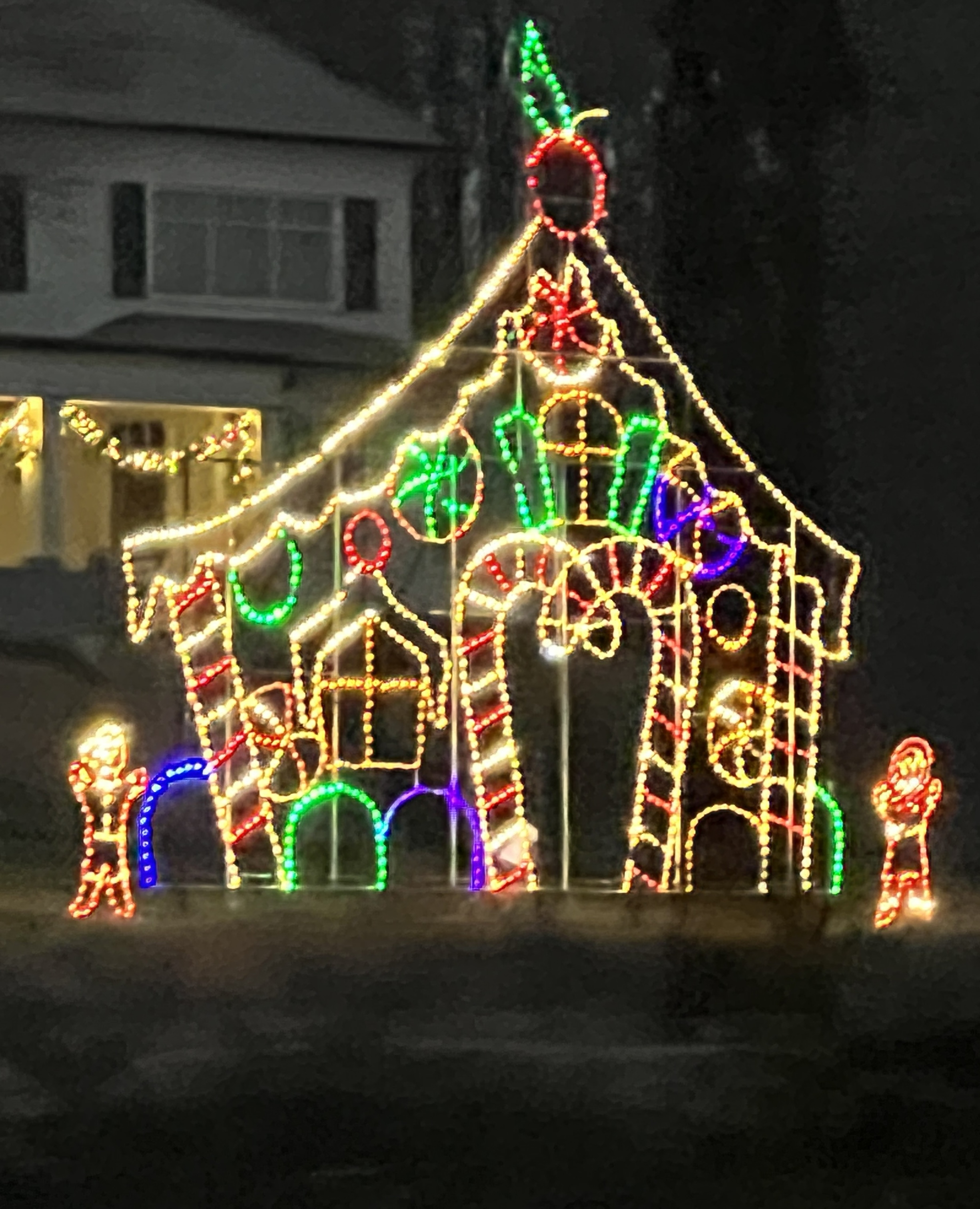Lake Geneva Santa Cruise photo 6