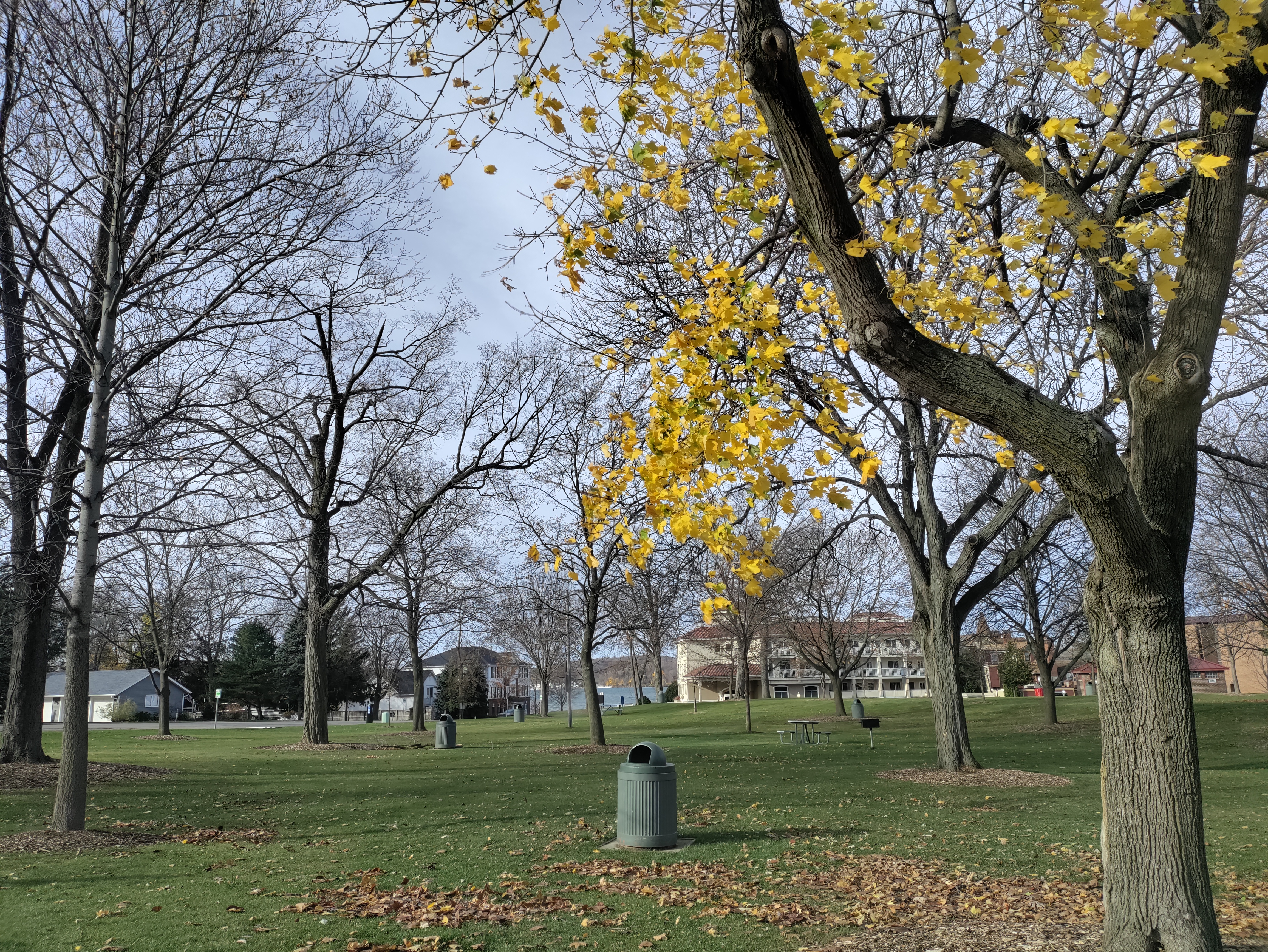Seminary Park photo 3