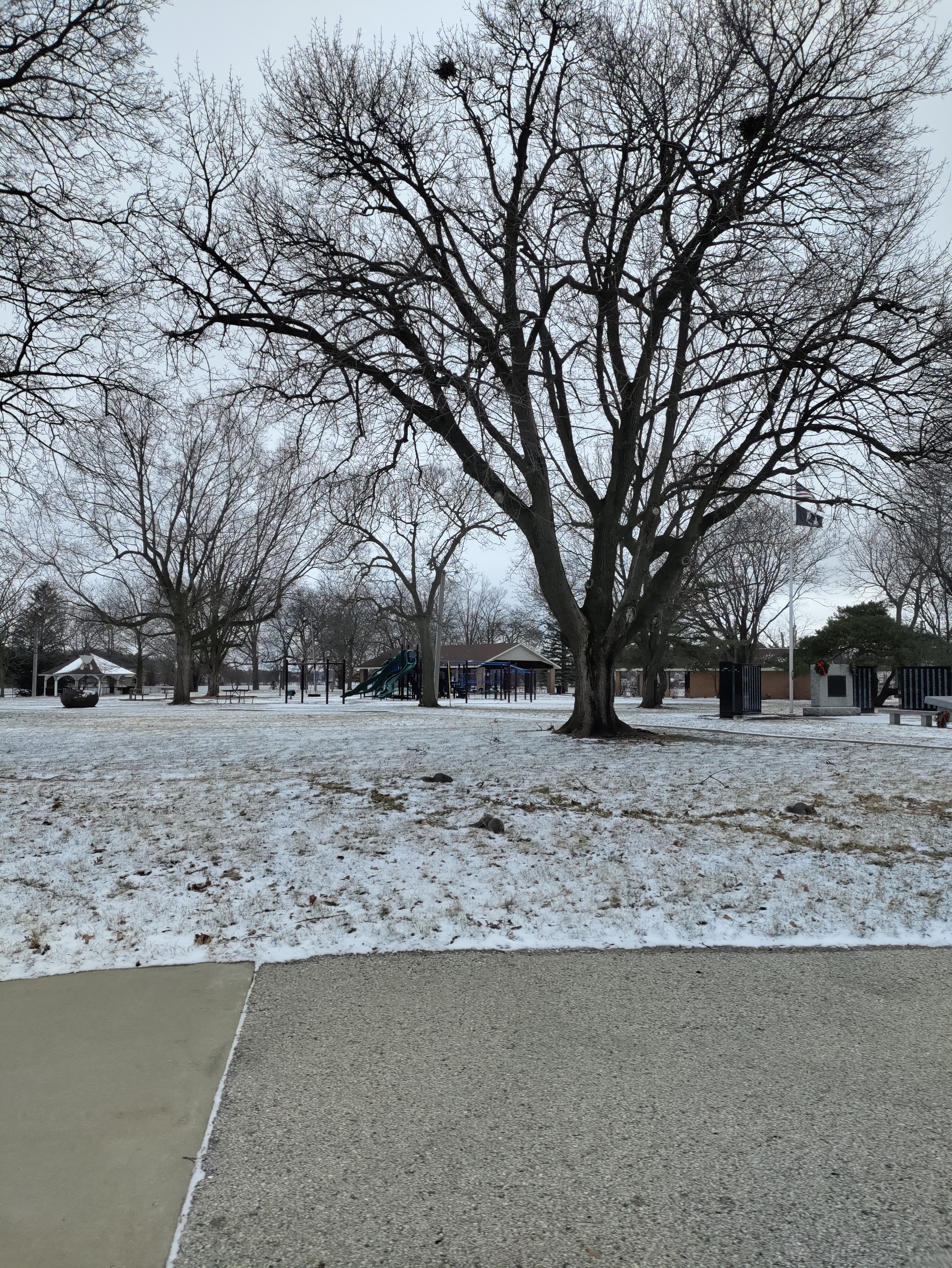 Seminary Park photo 5