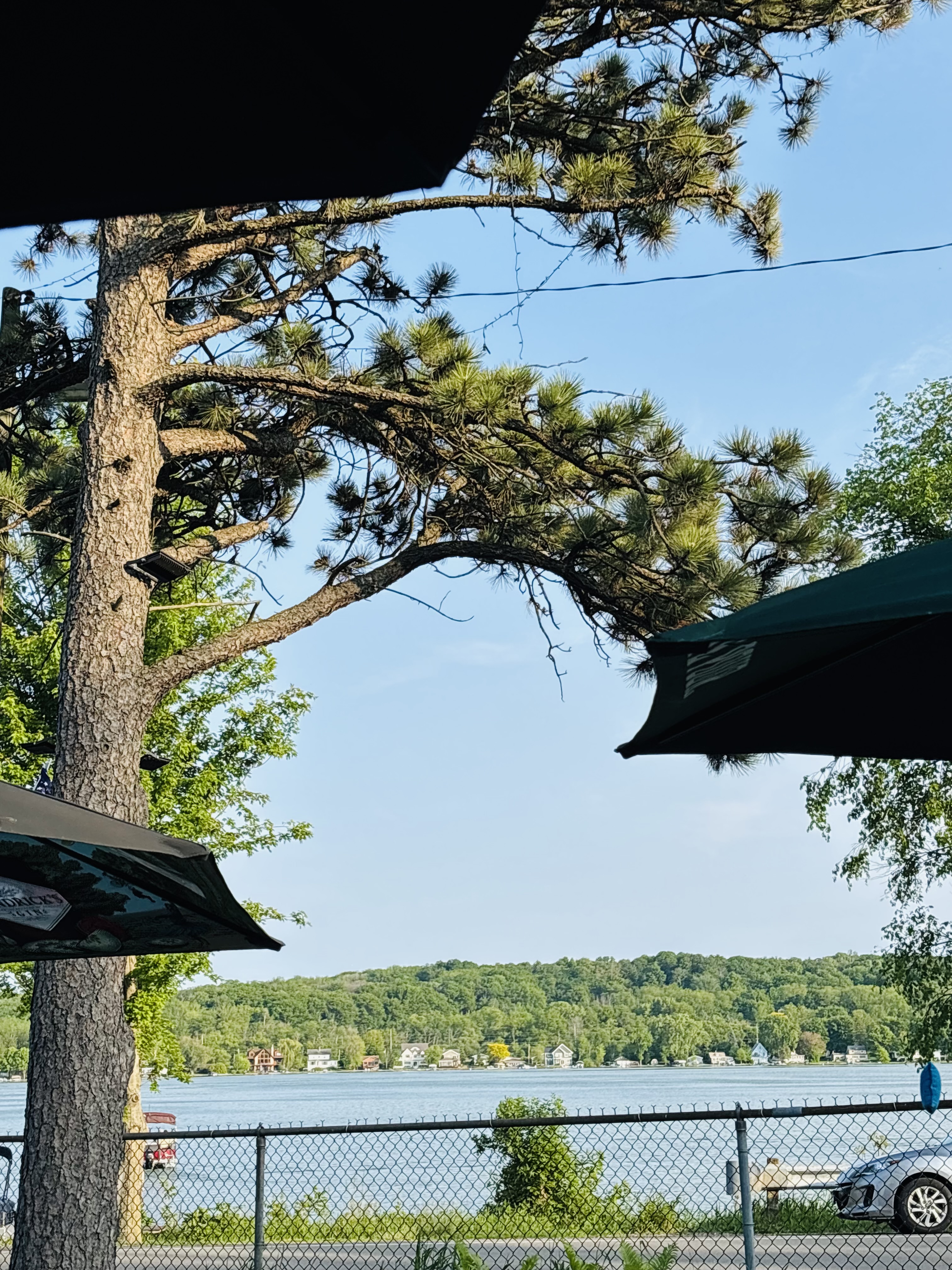 Papa’s Blue Spruce Resort photo 6
