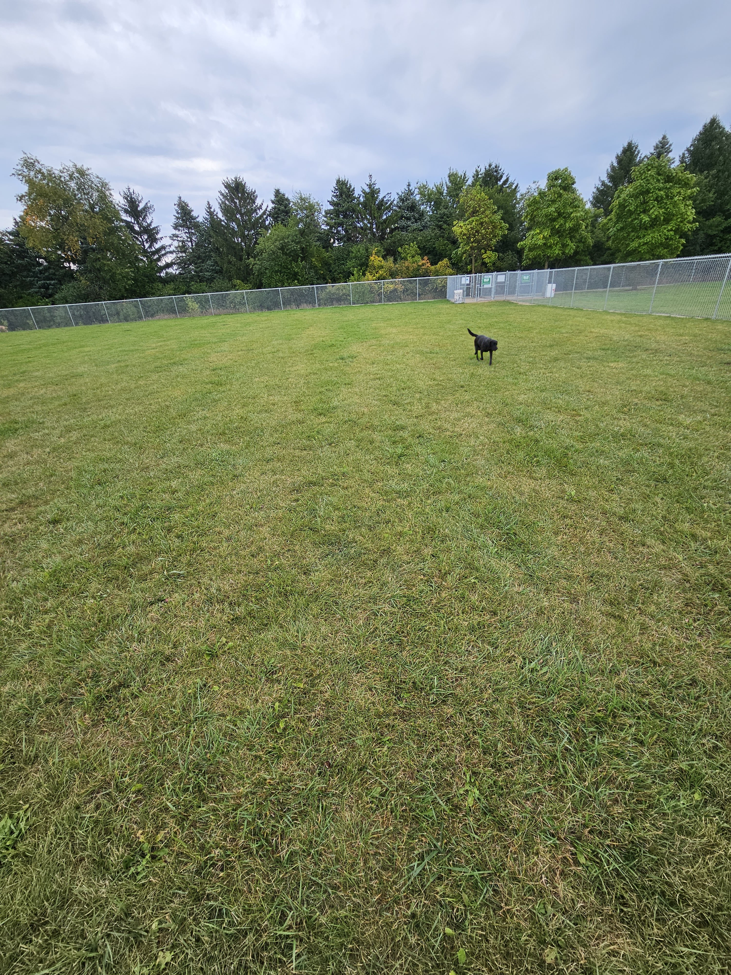 Gordon Yadon Park photo 4
