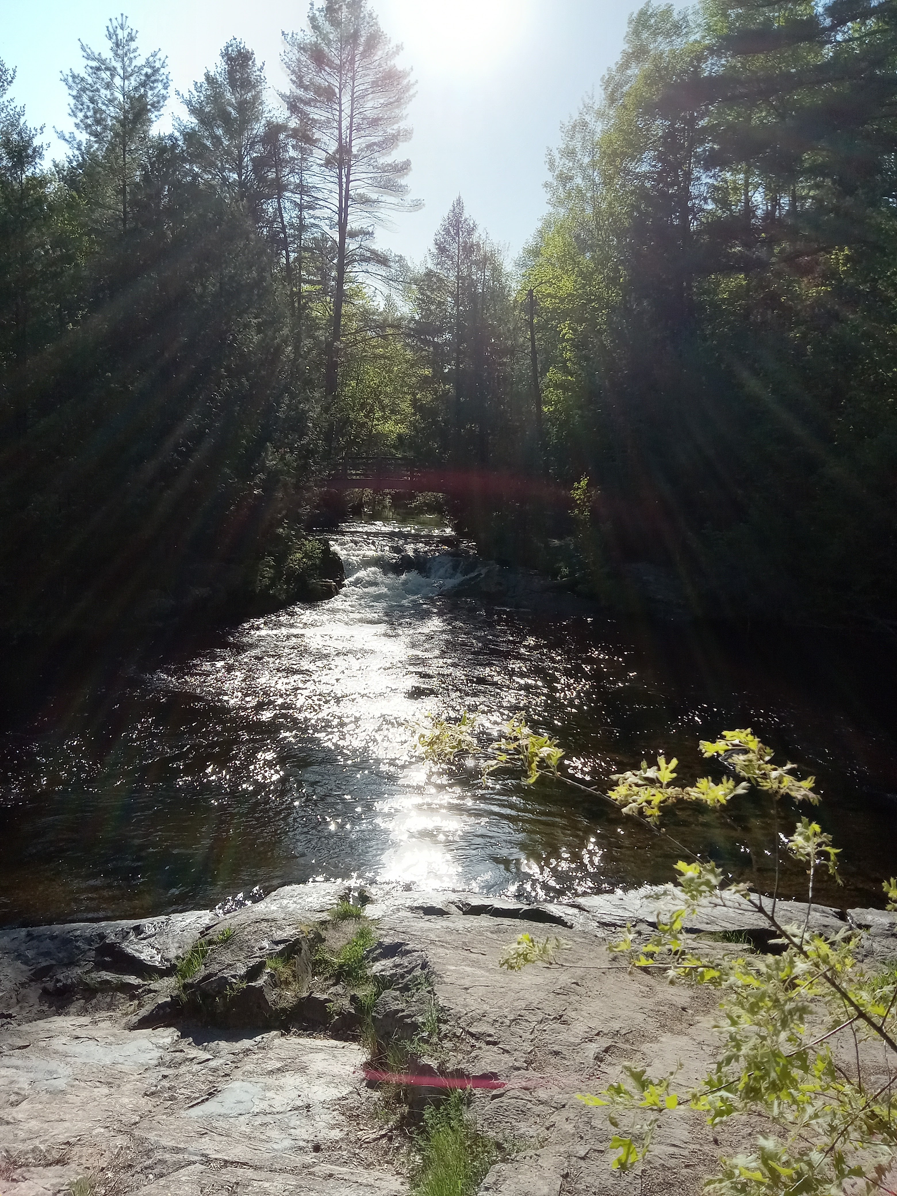 Veterans Park photo 6