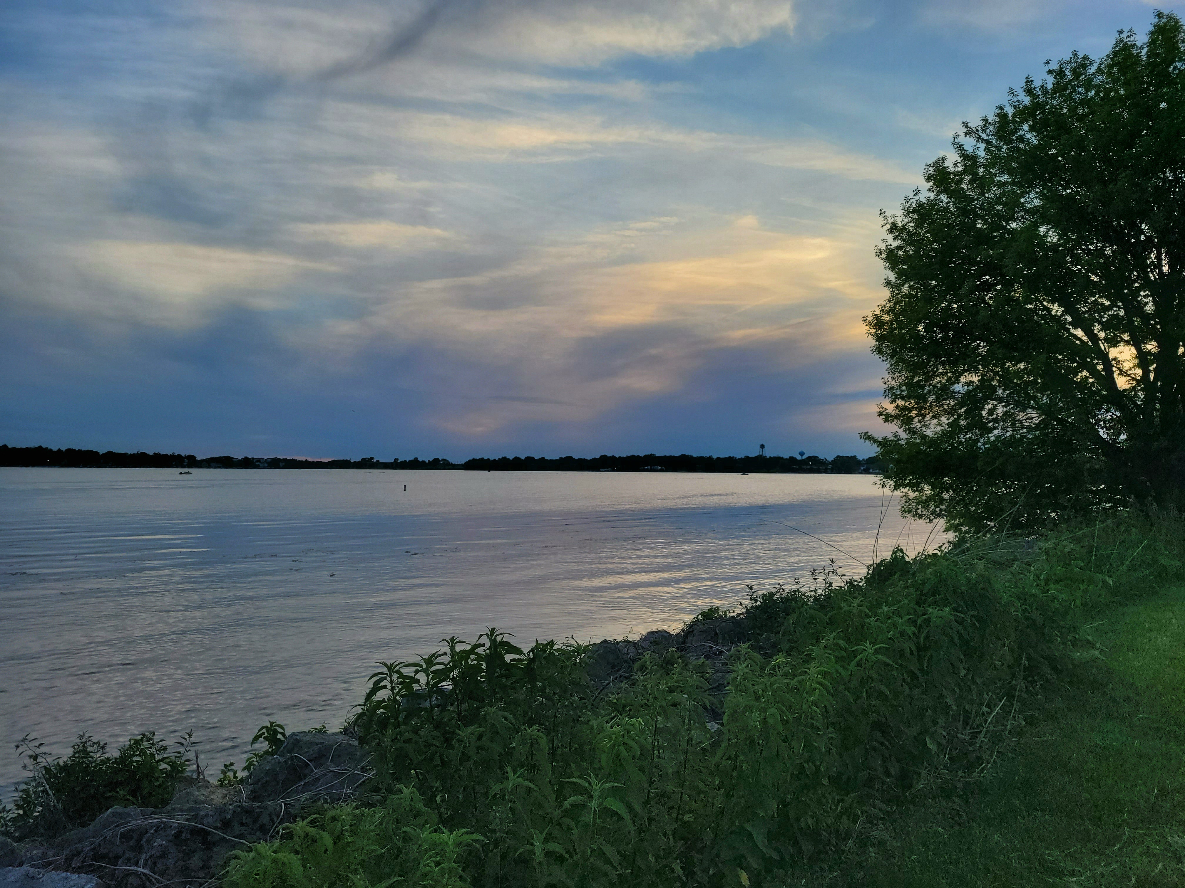 Community Park photo 4