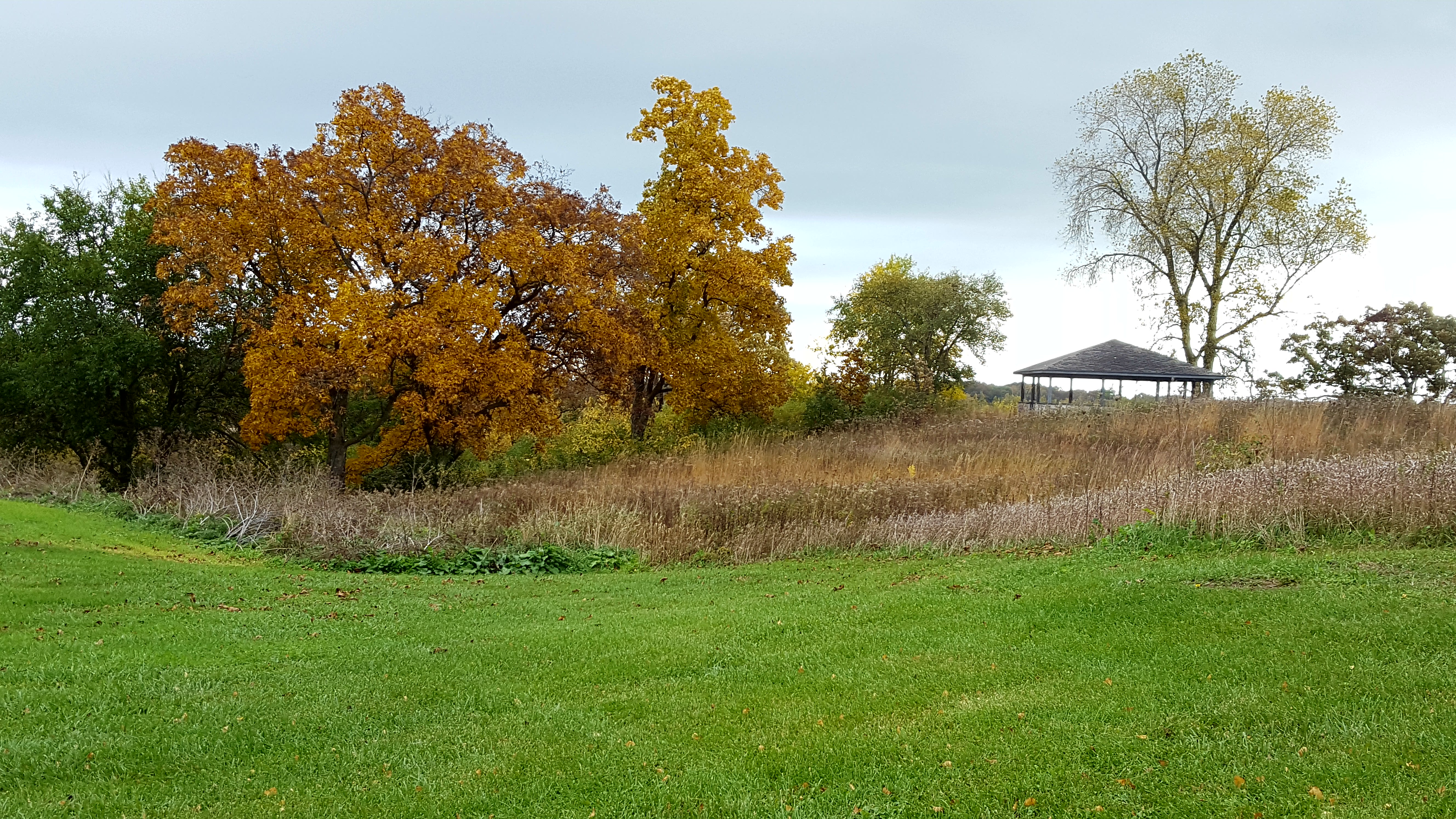 Four Seasons Nature Preserve