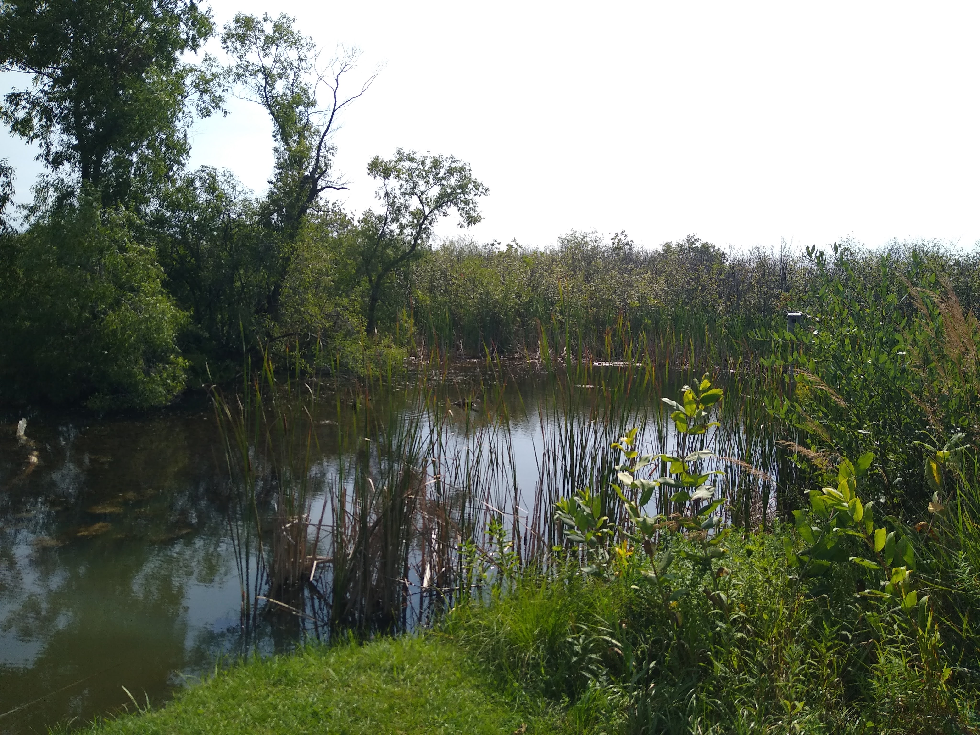 Four Seasons Nature Preserve photo 2