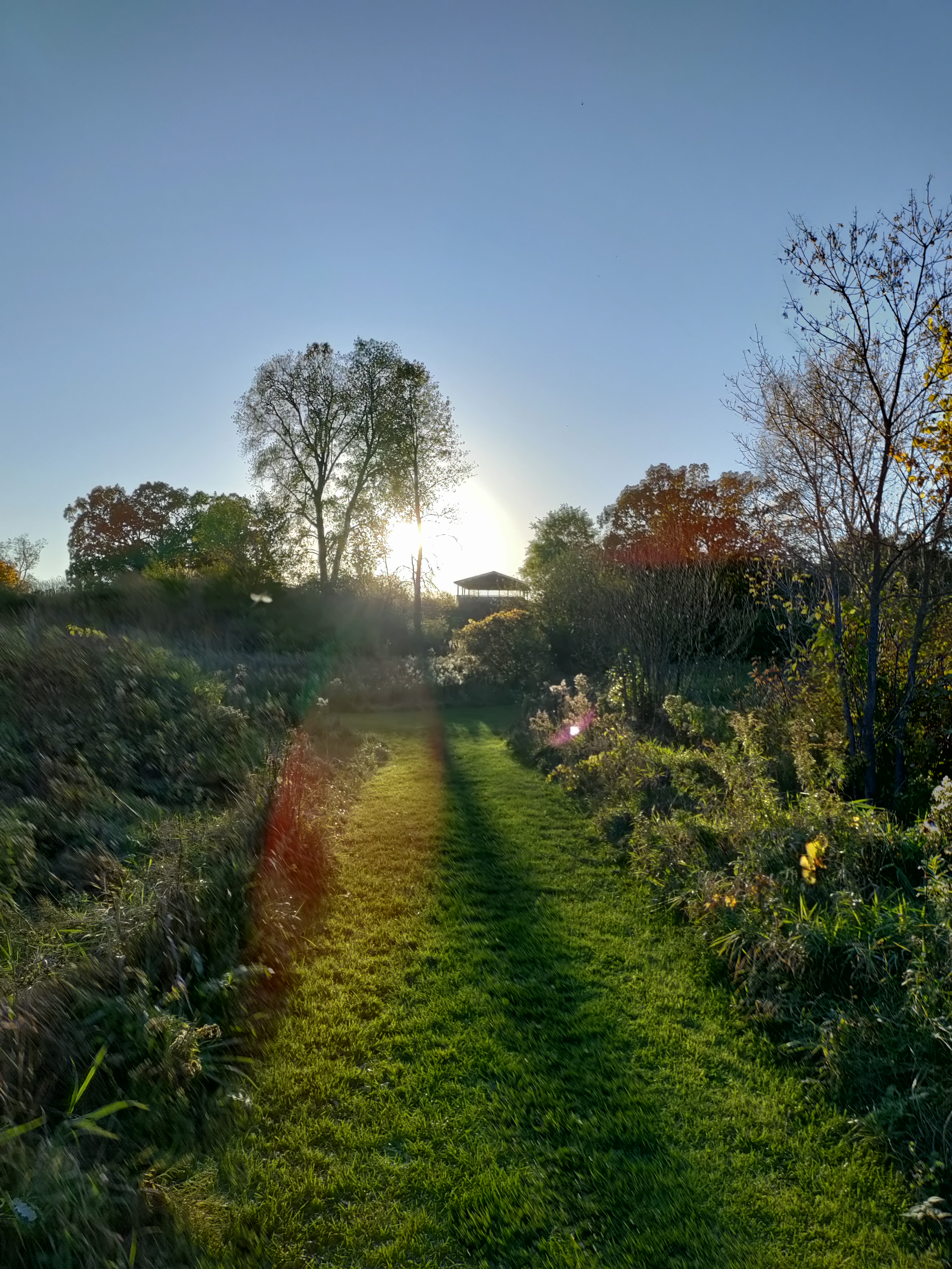 Four Seasons Nature Preserve photo 3