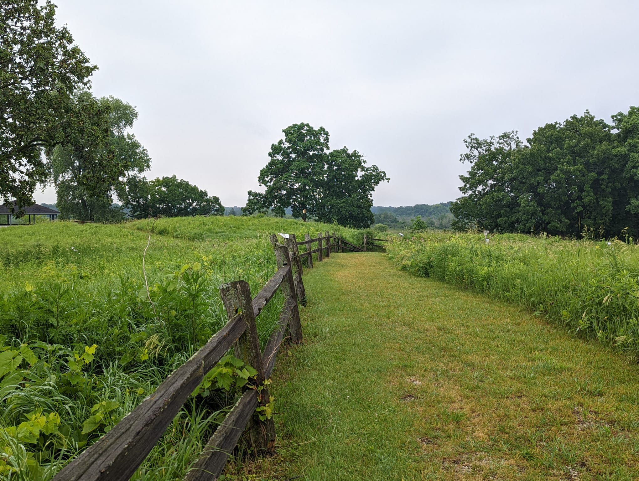 Four Seasons Nature Preserve photo 4