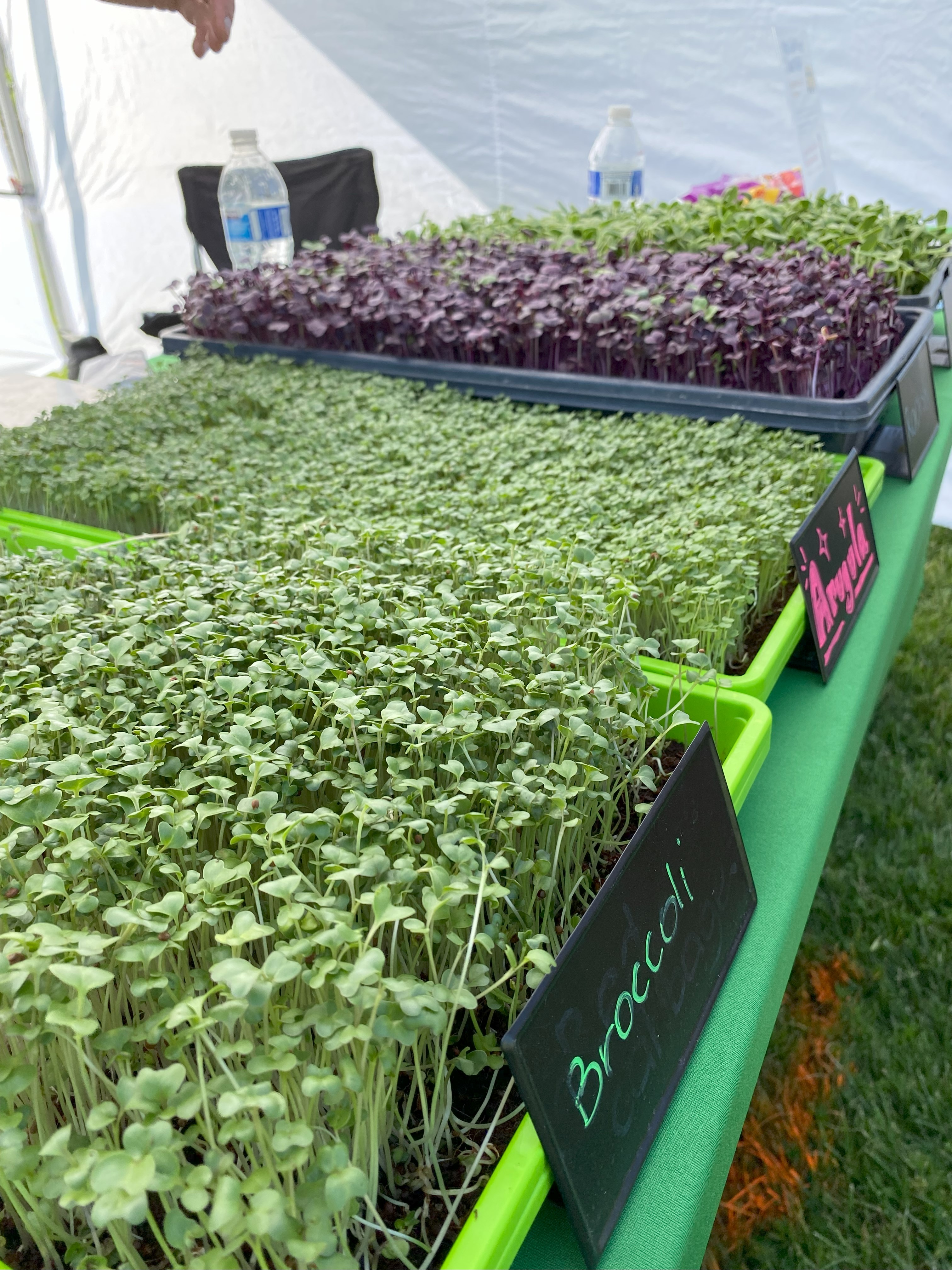 Williams Bay Farmers Market photo 4