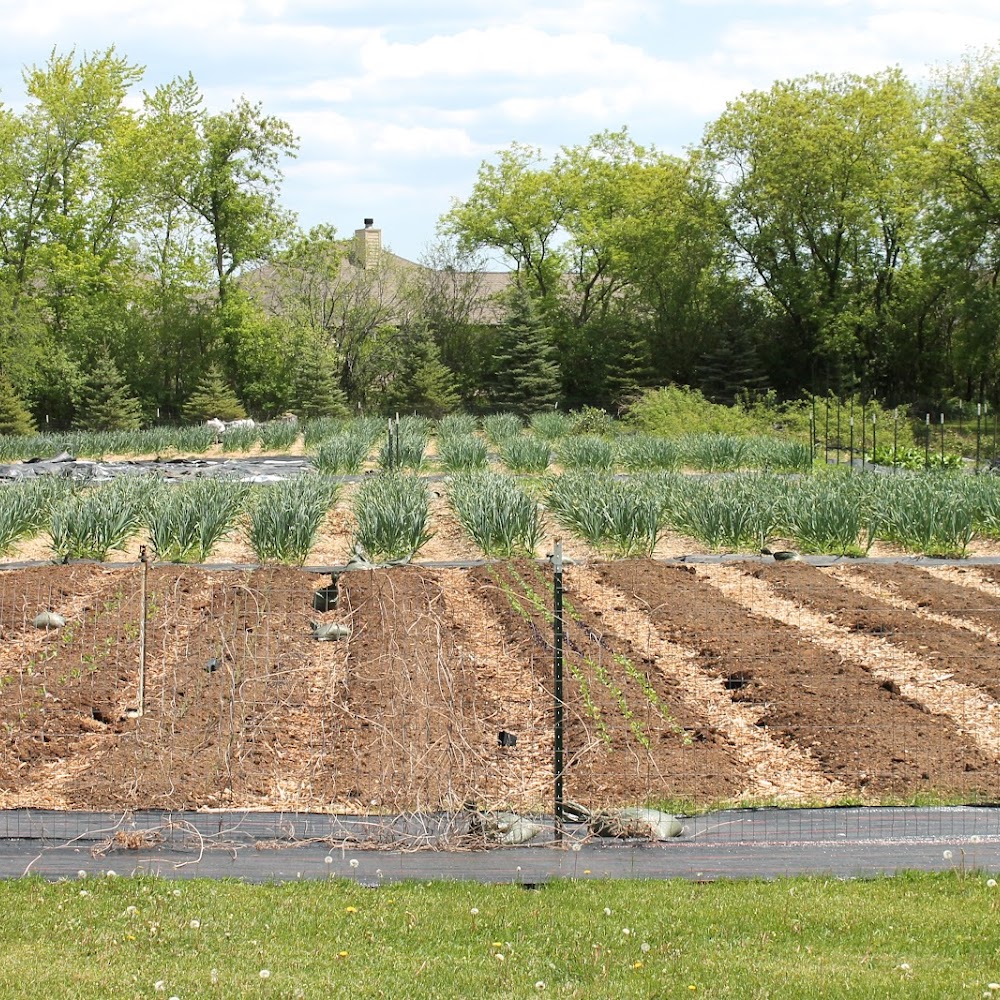 Rad Acre Farm