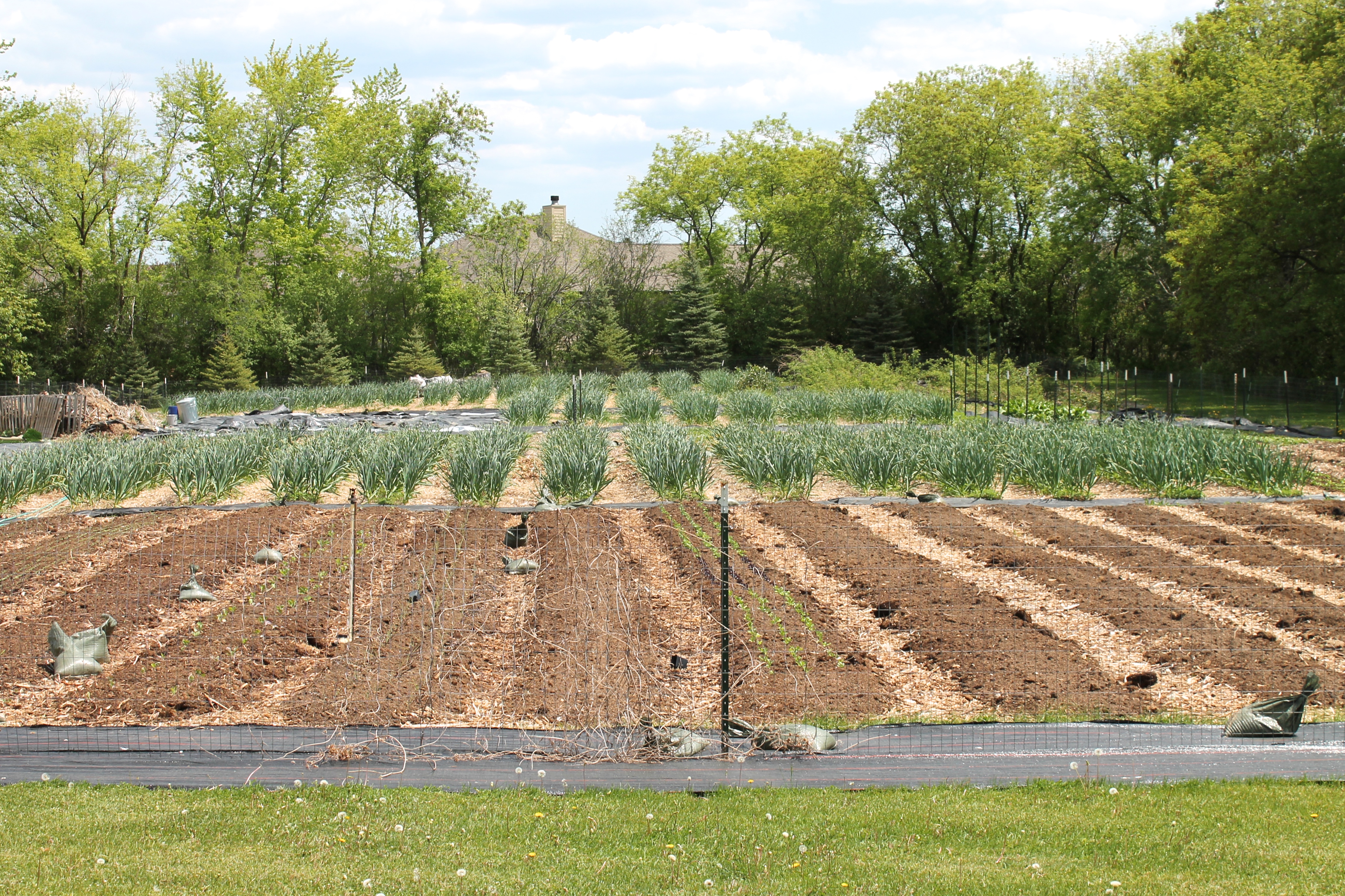 Rad Acre Farm photo 2