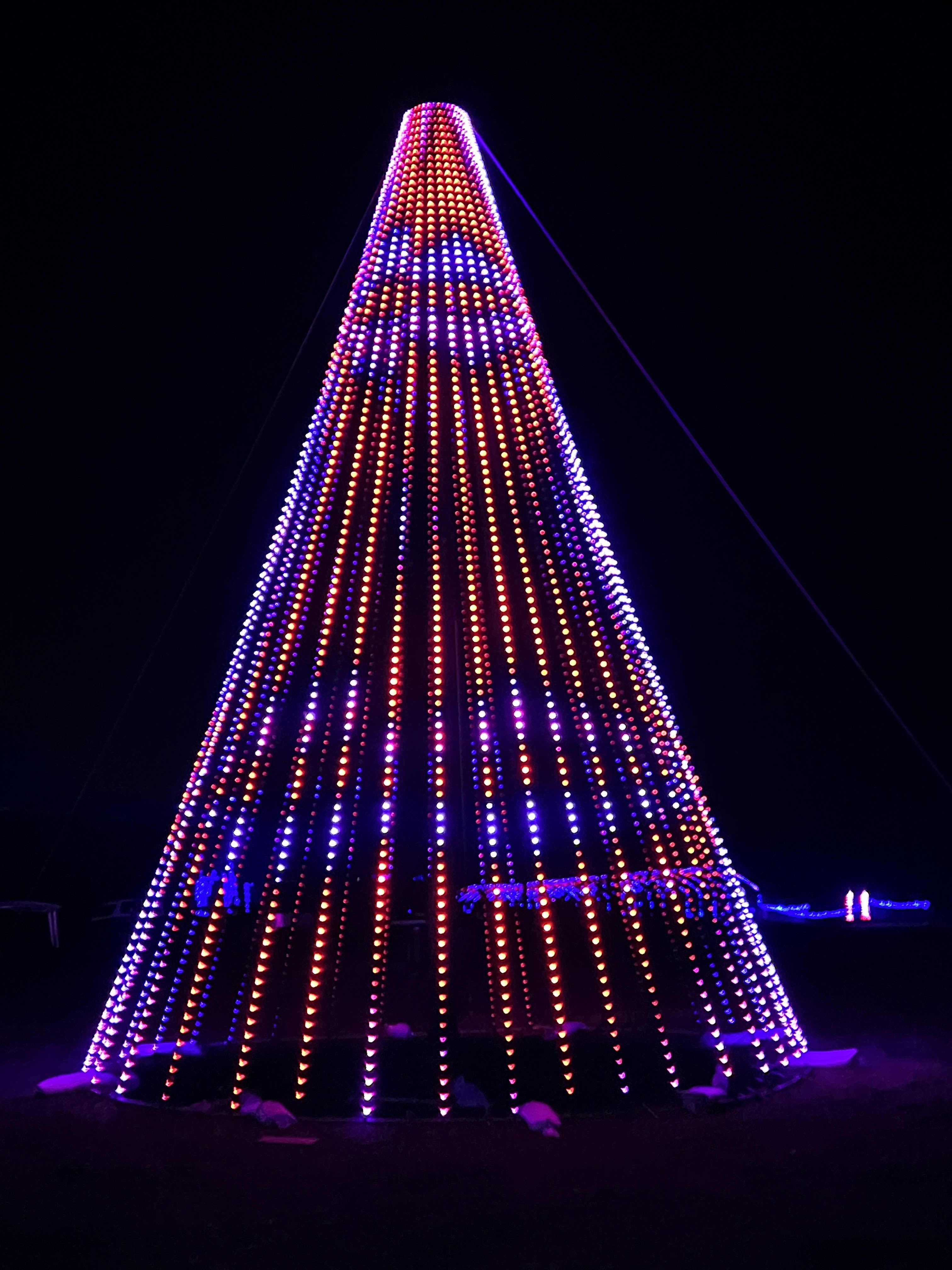 Farm of Lights photo 3
