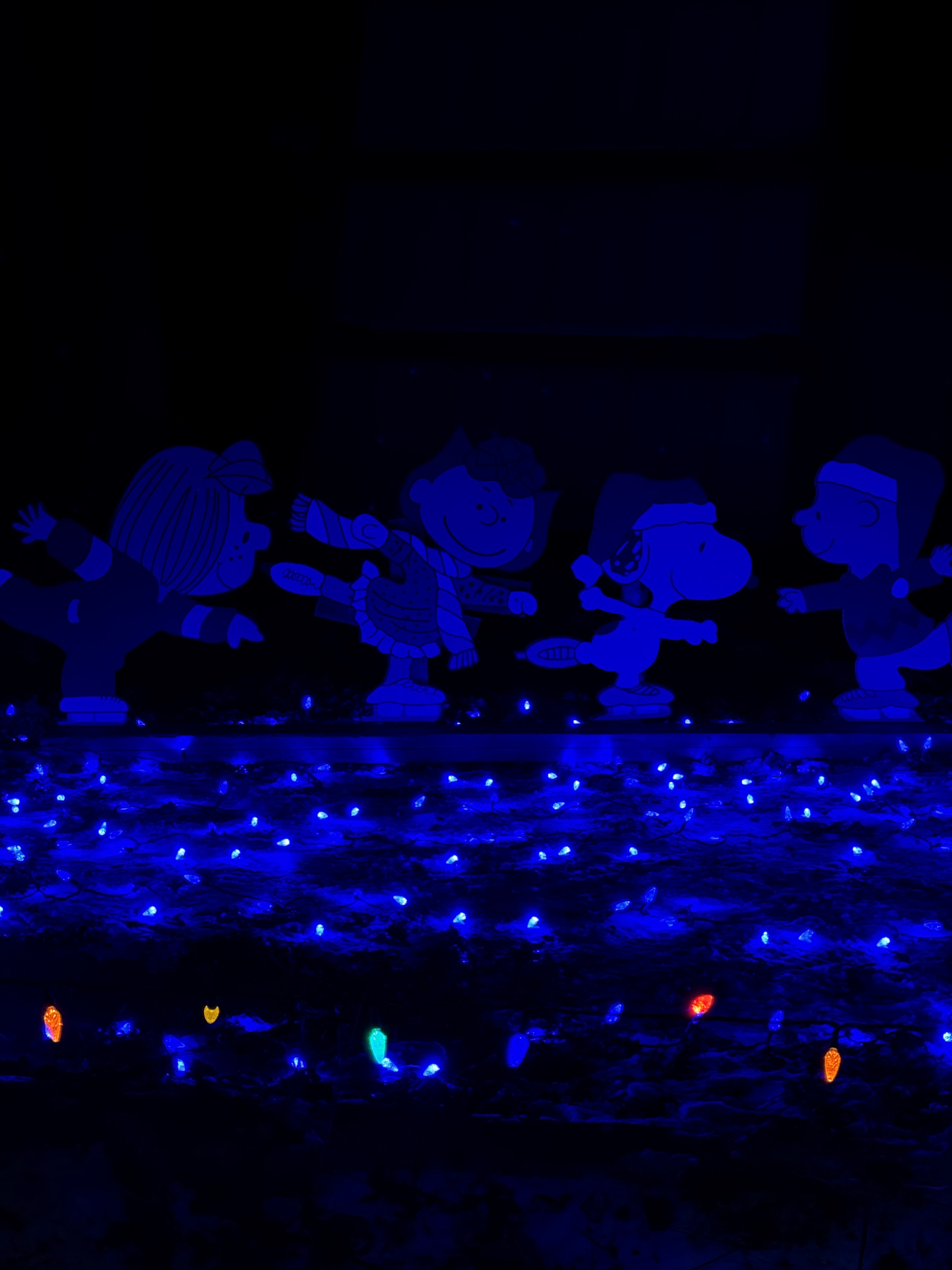 Farm of Lights photo 4