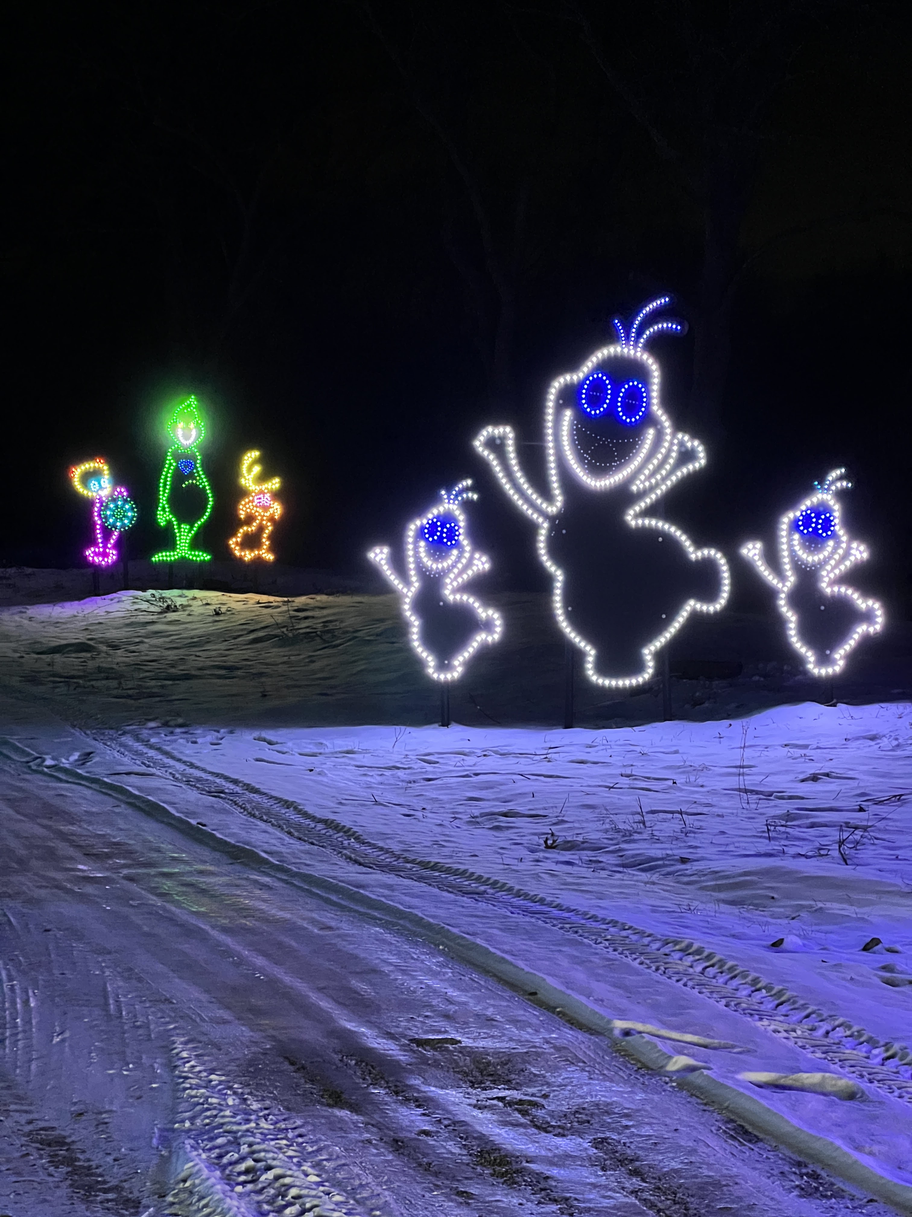 Farm of Lights photo 5