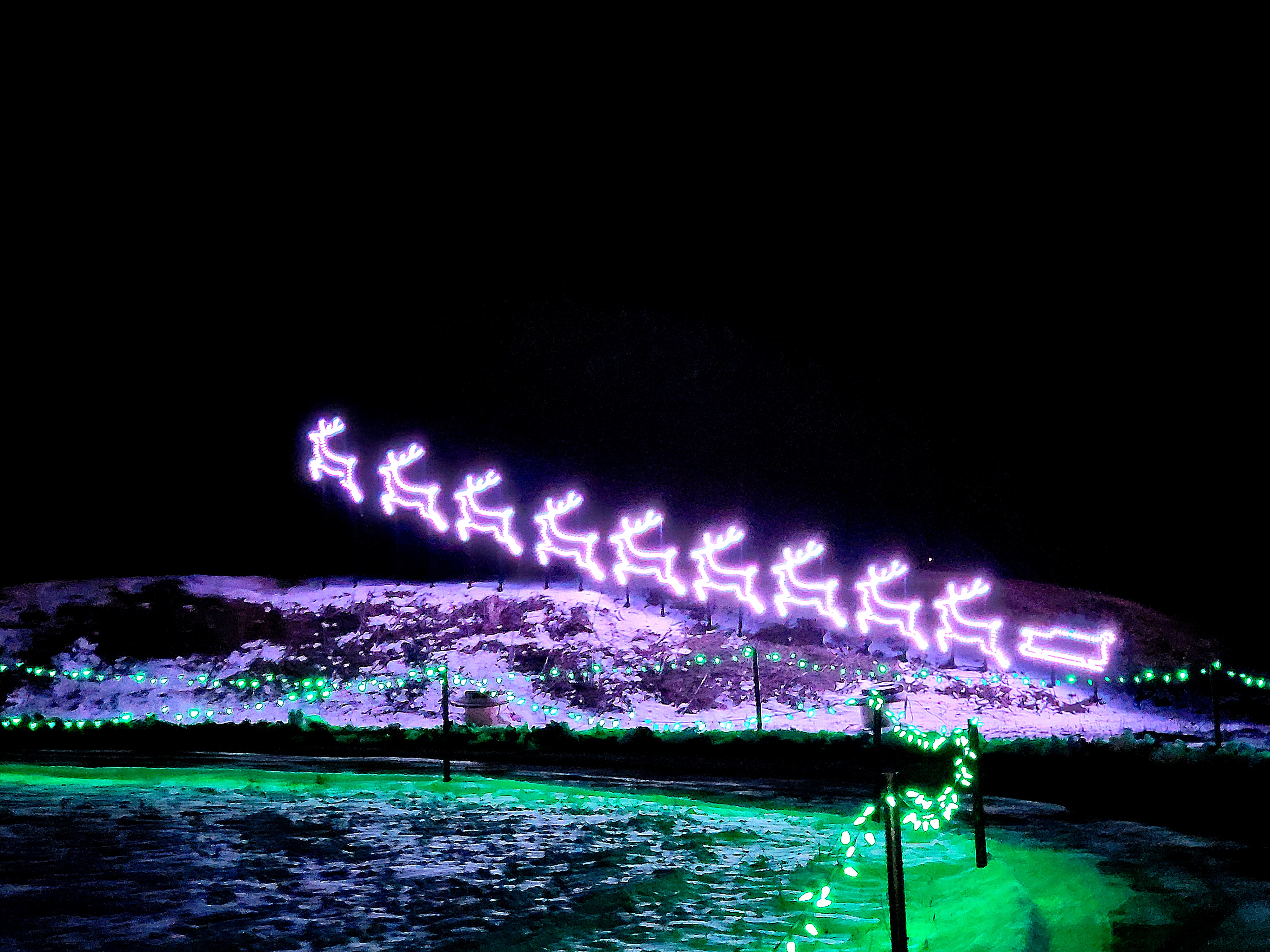 Farm of Lights photo 6
