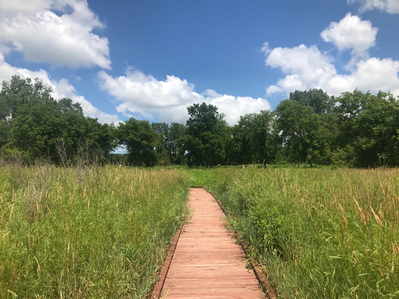 Helen Rohner Children's Fishing Park photo 5