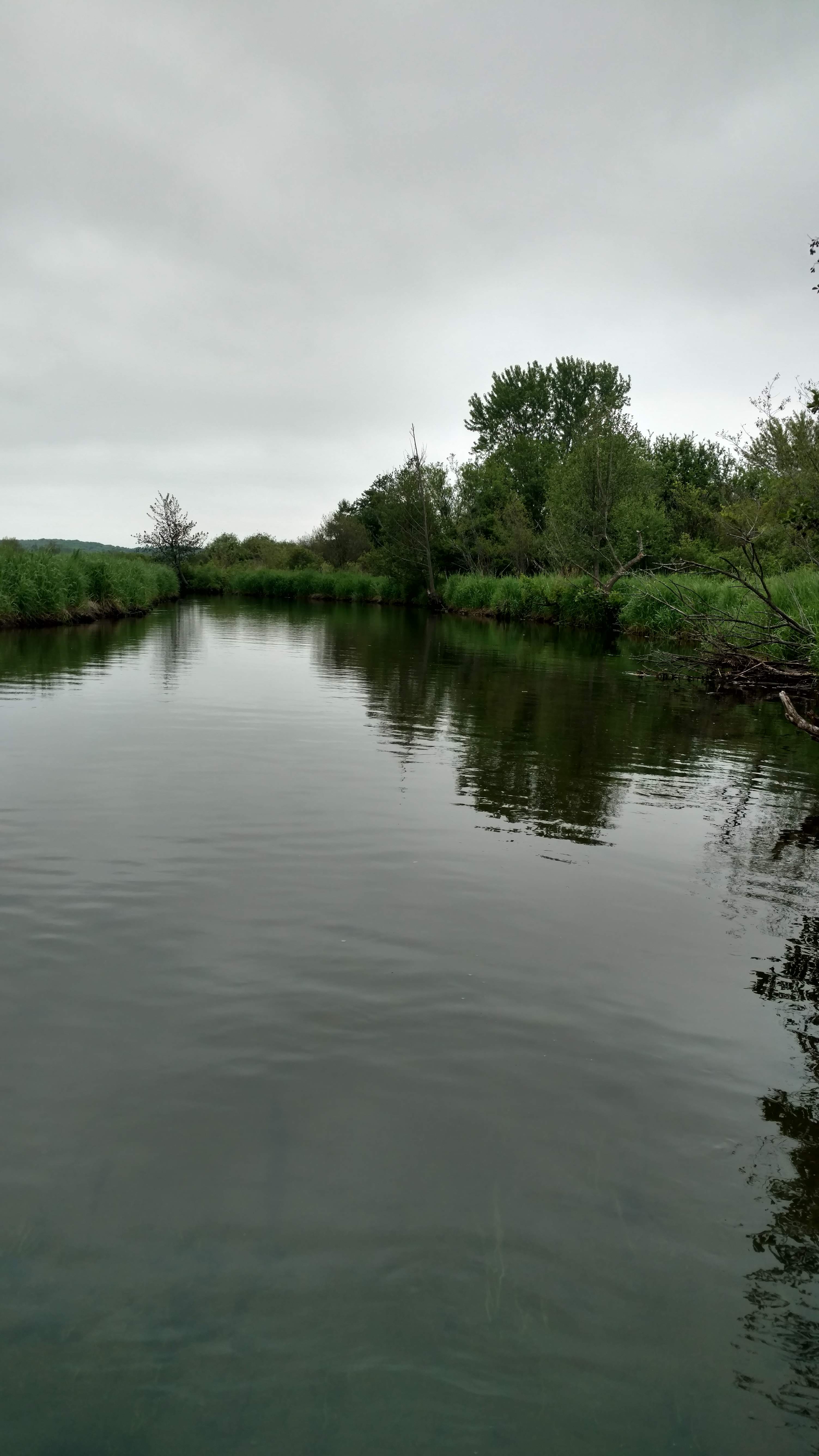Codie's Kayaking and Canoeing, LLC