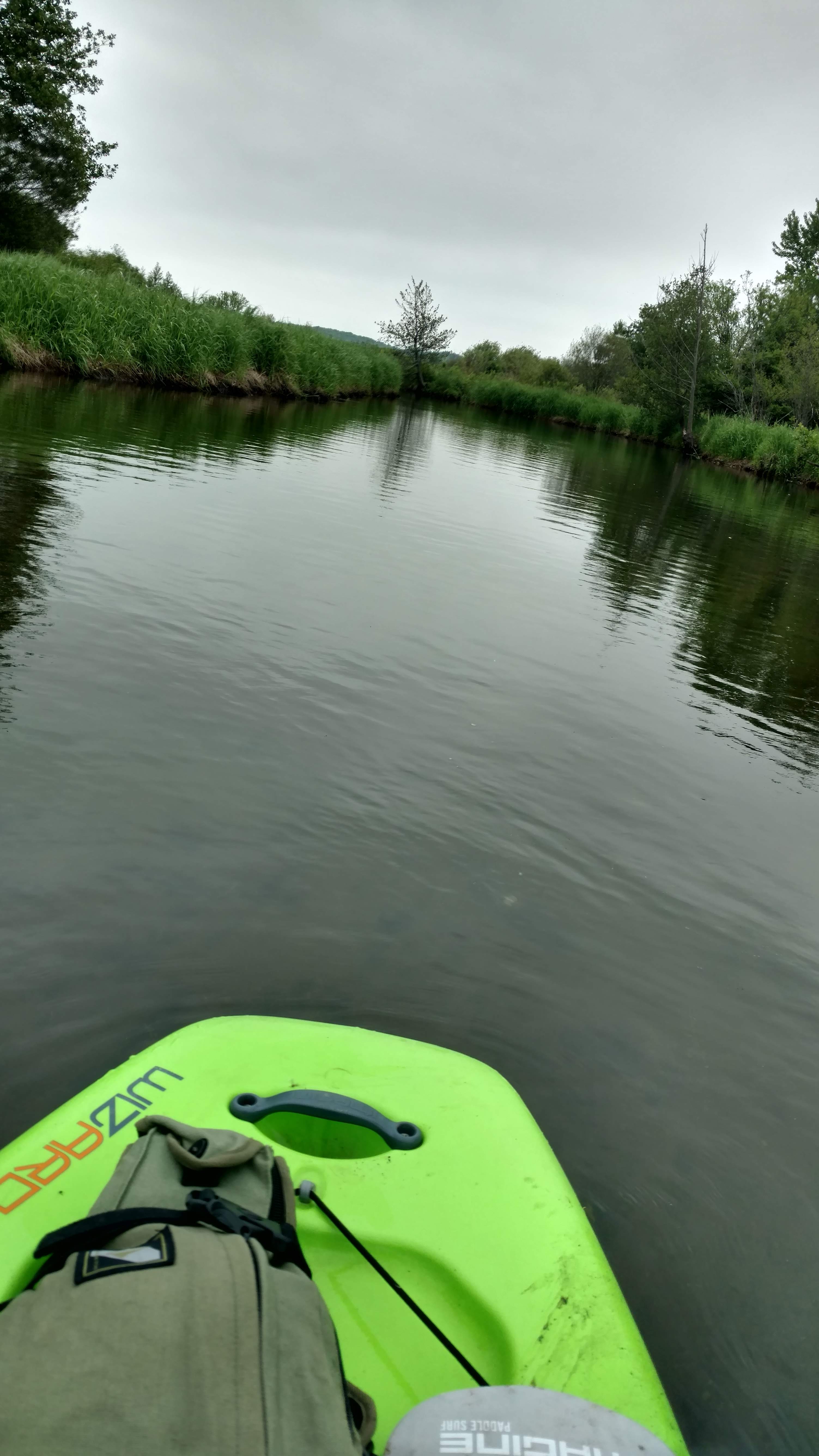 Codie's Kayaking and Canoeing, LLC photo 2