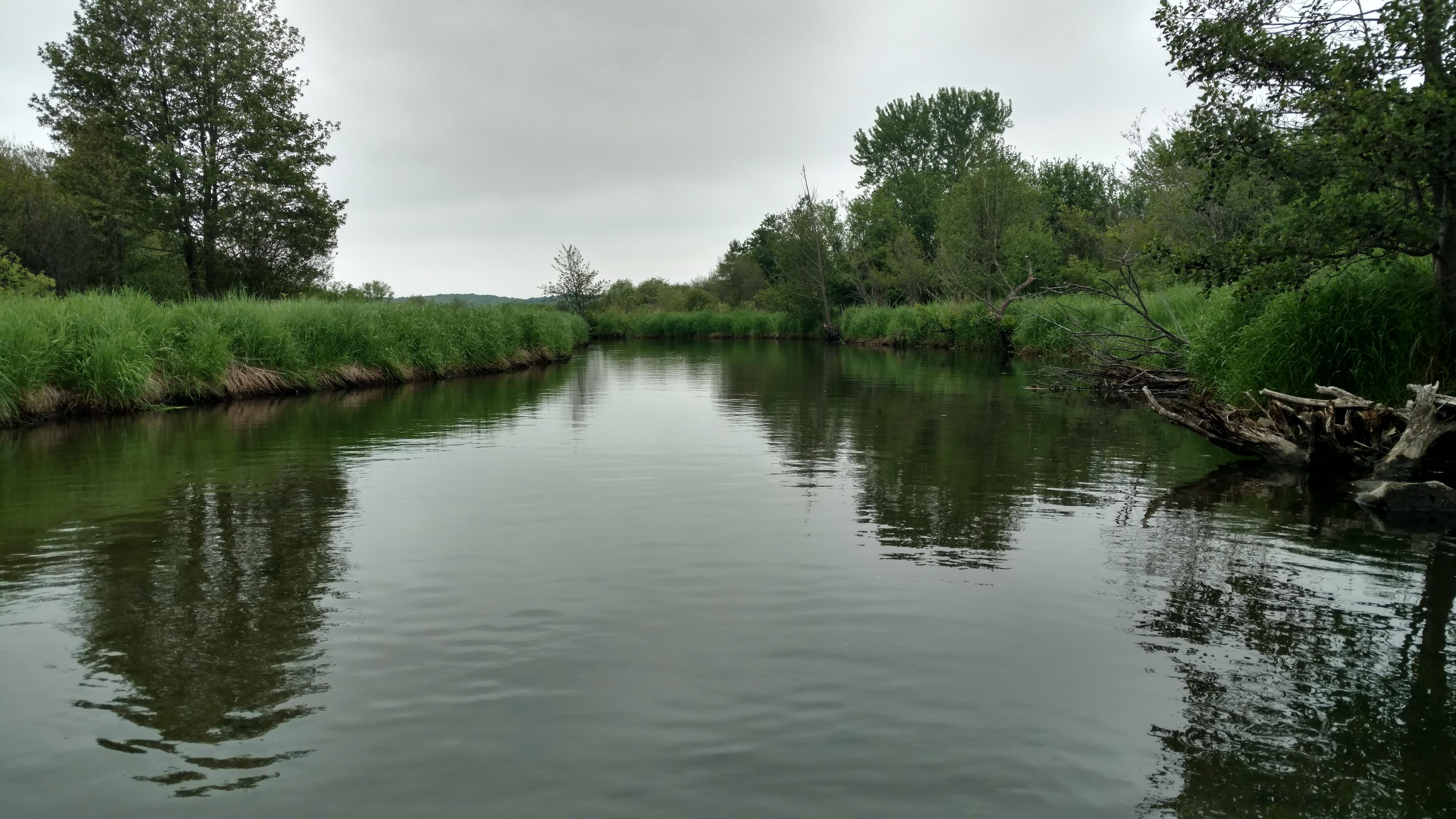 Codie's Kayaking and Canoeing, LLC photo 4