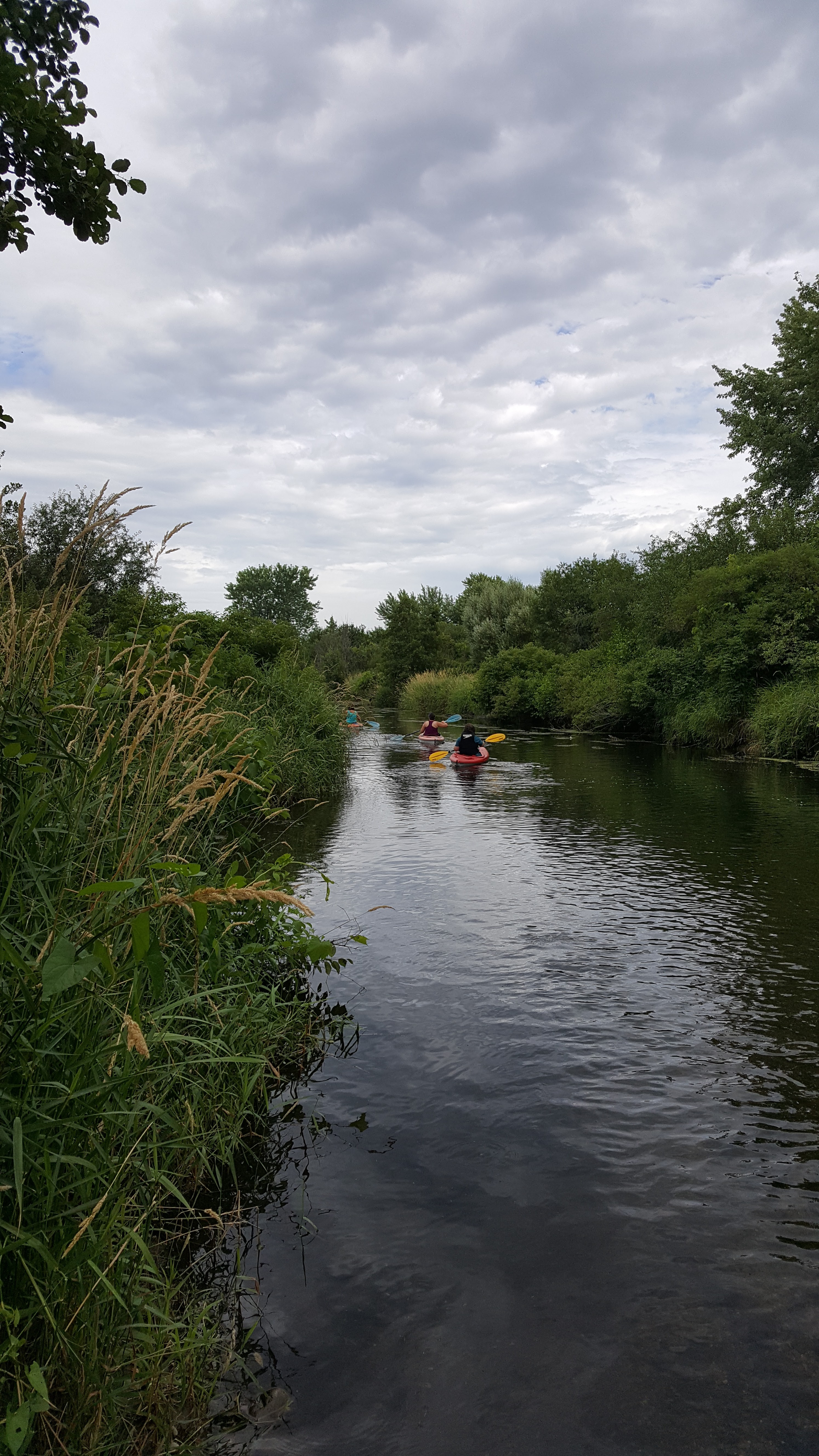 Codie's Kayaking and Canoeing, LLC photo 5