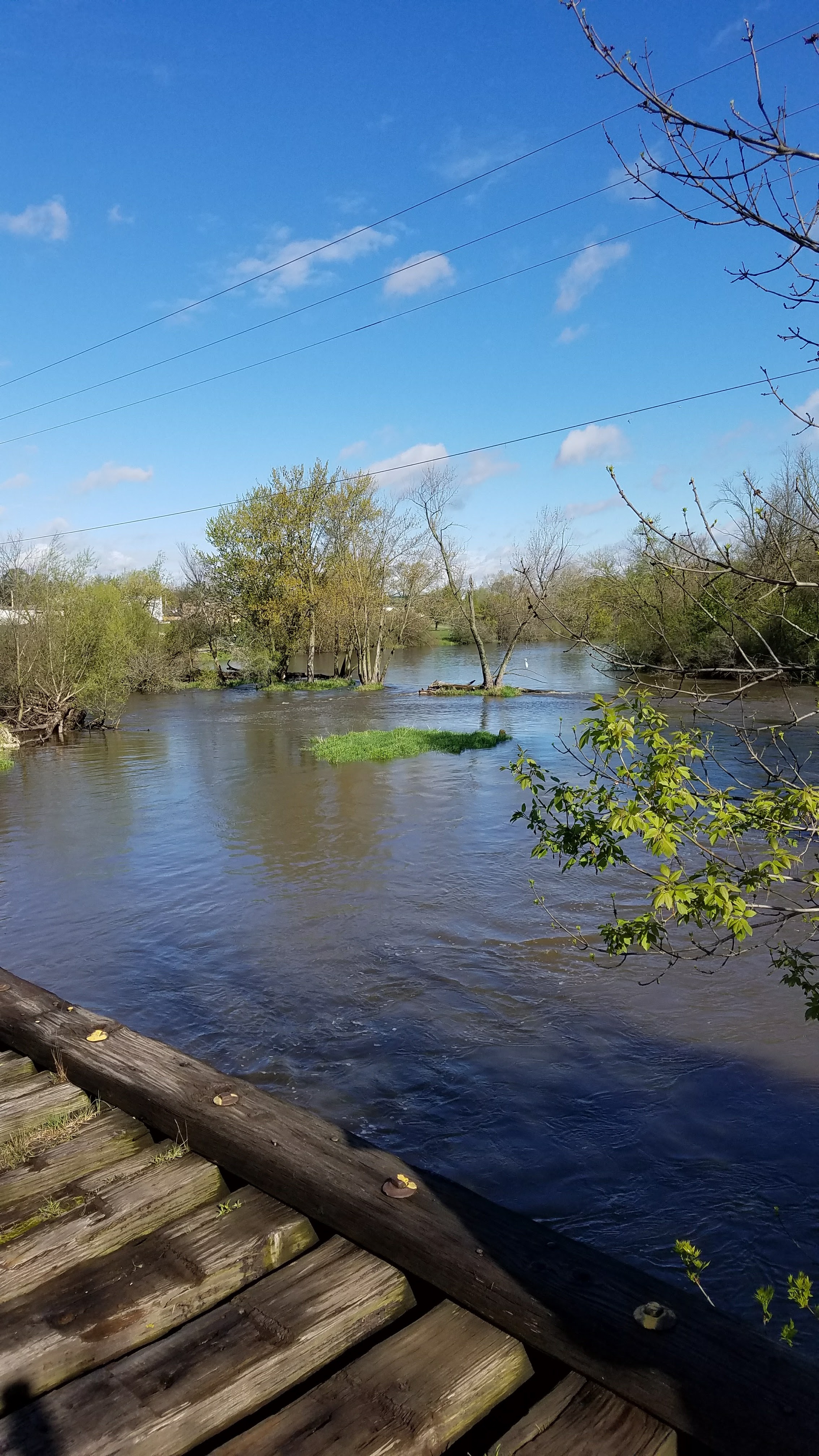 Bushnell County Park photo 2