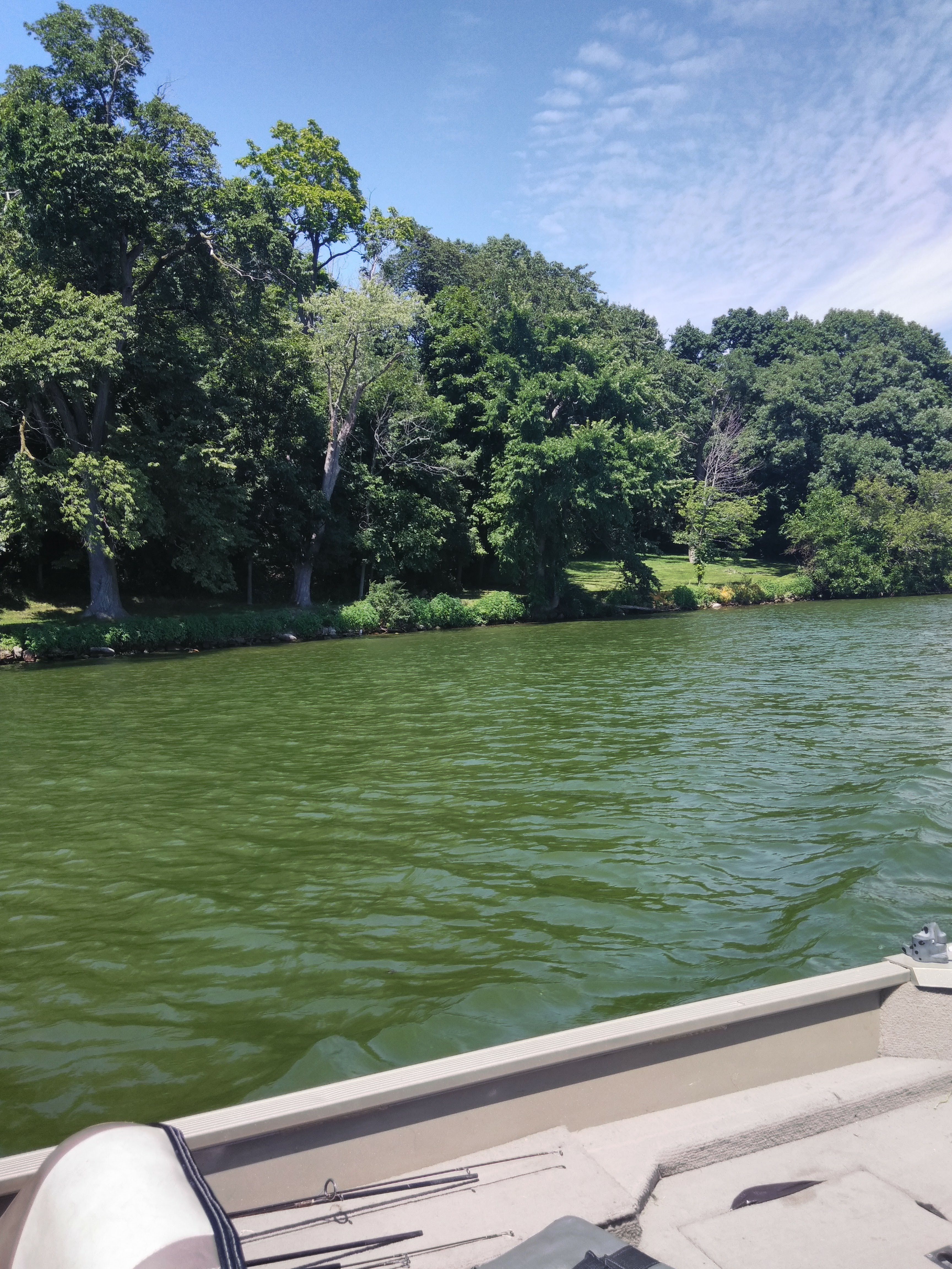 Delavan Lake Marina photo 6