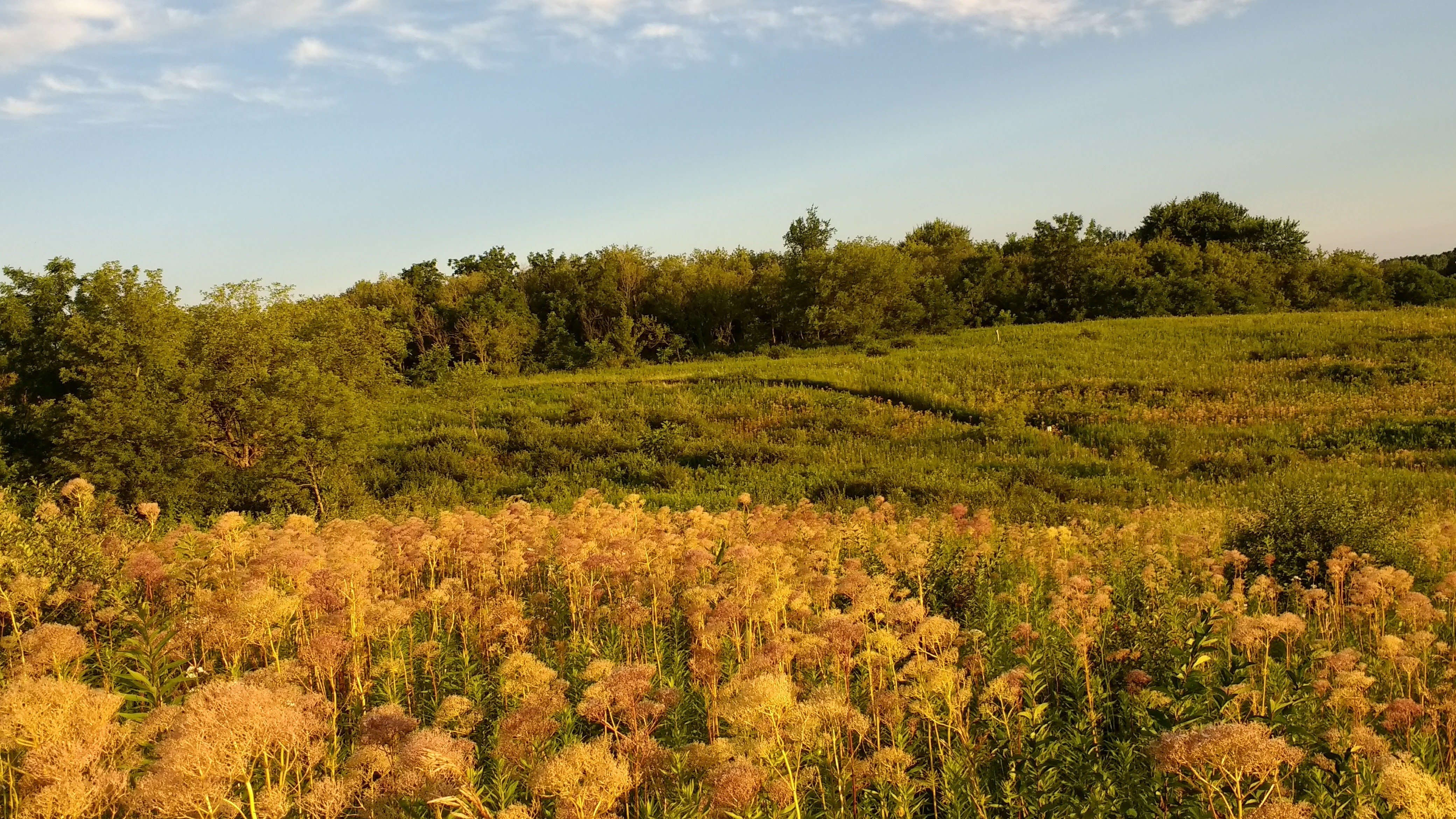Linn Nature Park