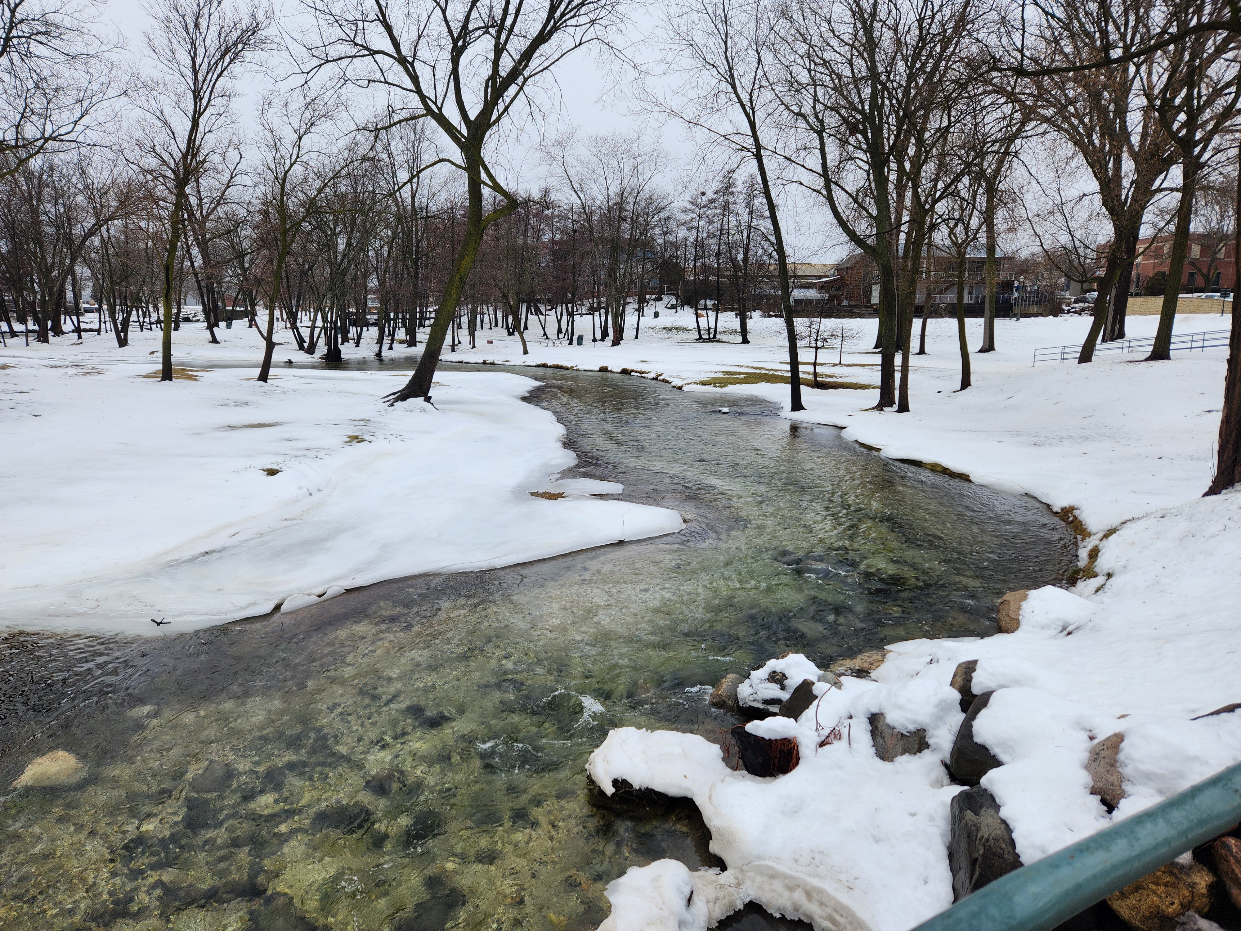 Samuel Donian Wetland Preserve photo 5