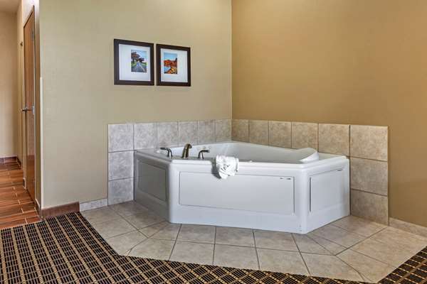 Comfort Suites Delavan - Lake Geneva Area photo 6