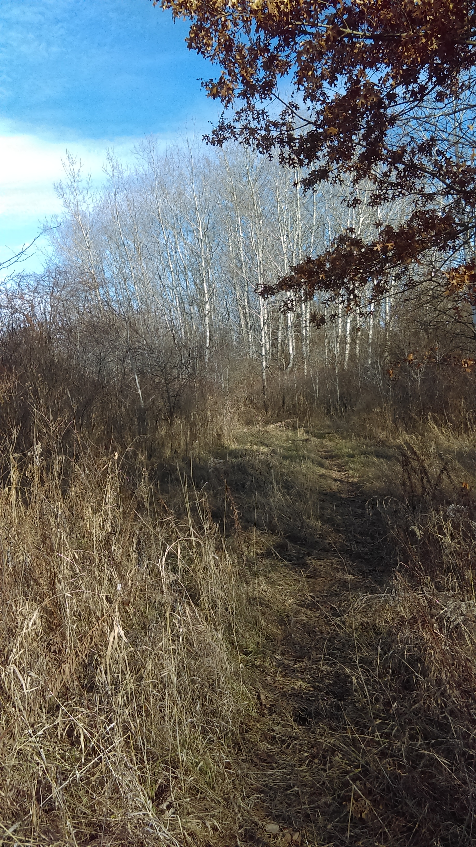 Lyons Wildlife Area photo 3