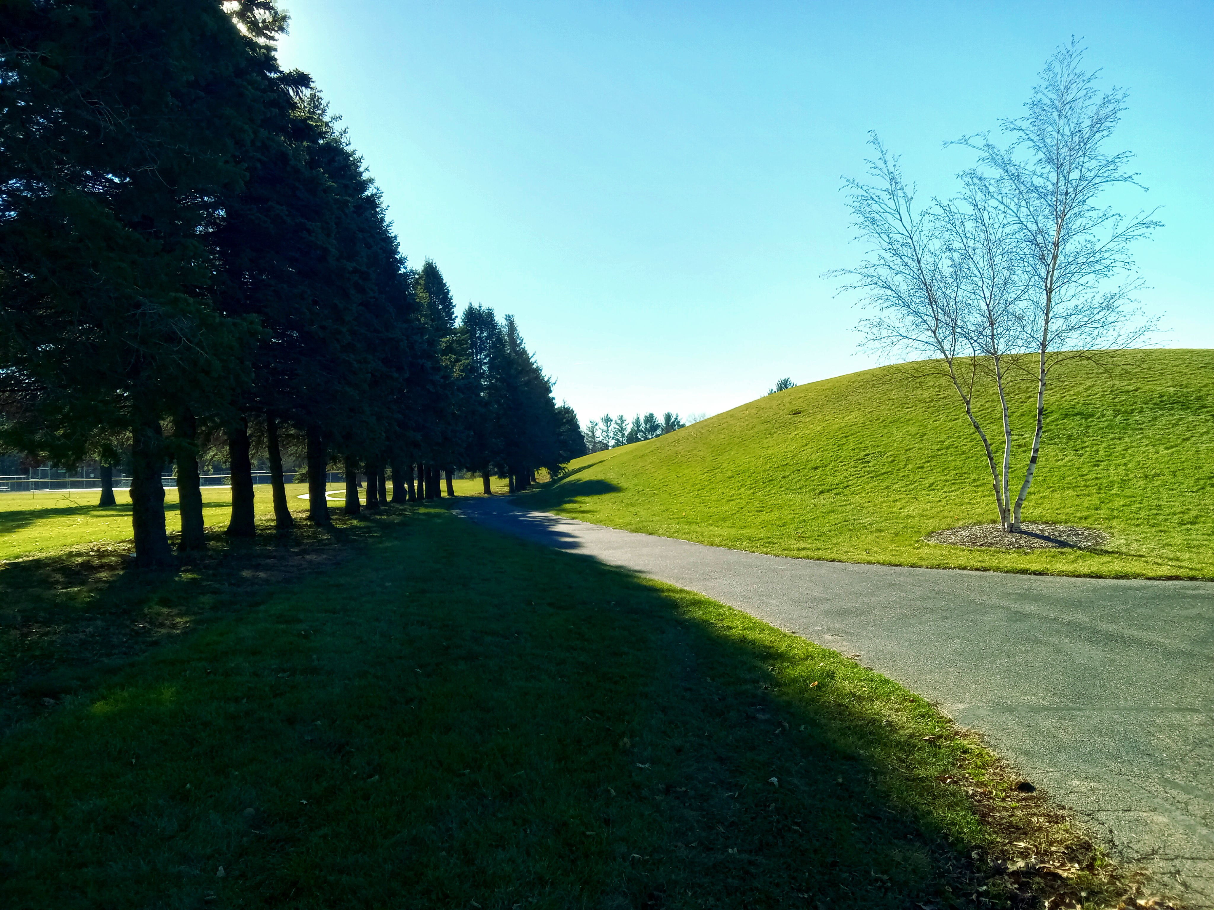 Sunset Park photo 3