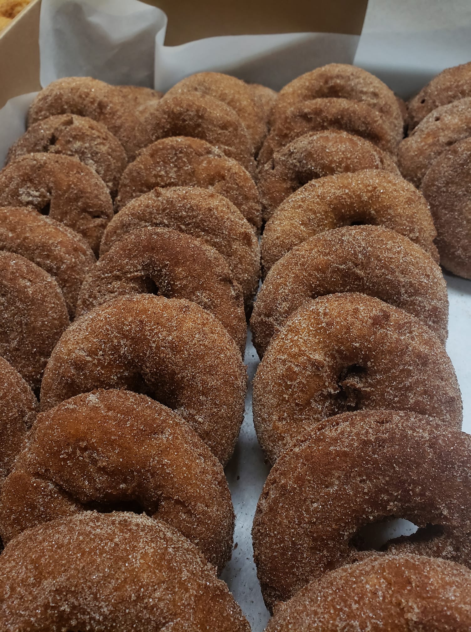 Bodi's Bake Shop photo 3