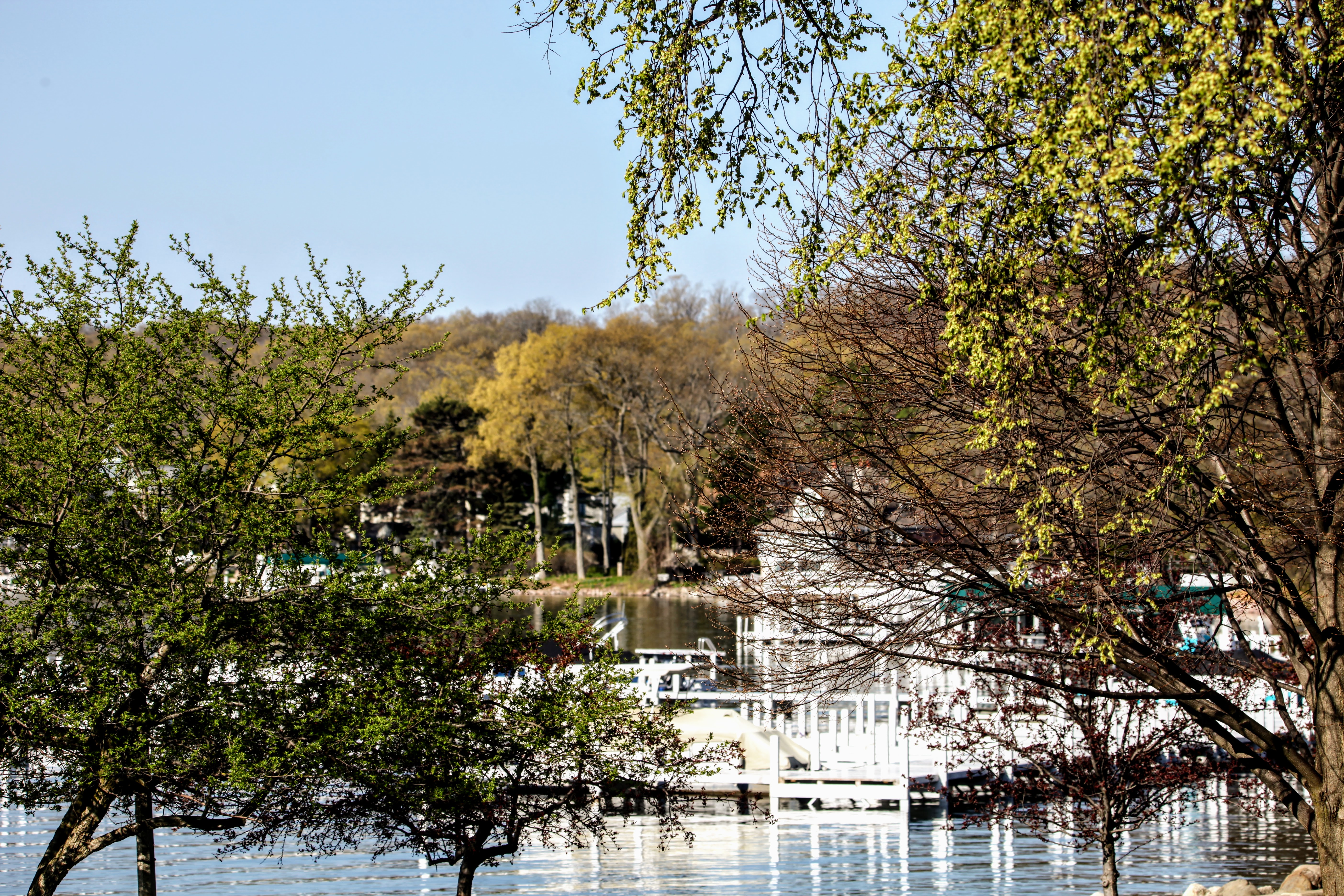 The Boat House Lake Geneva - Boat Club & Dealership photo 5