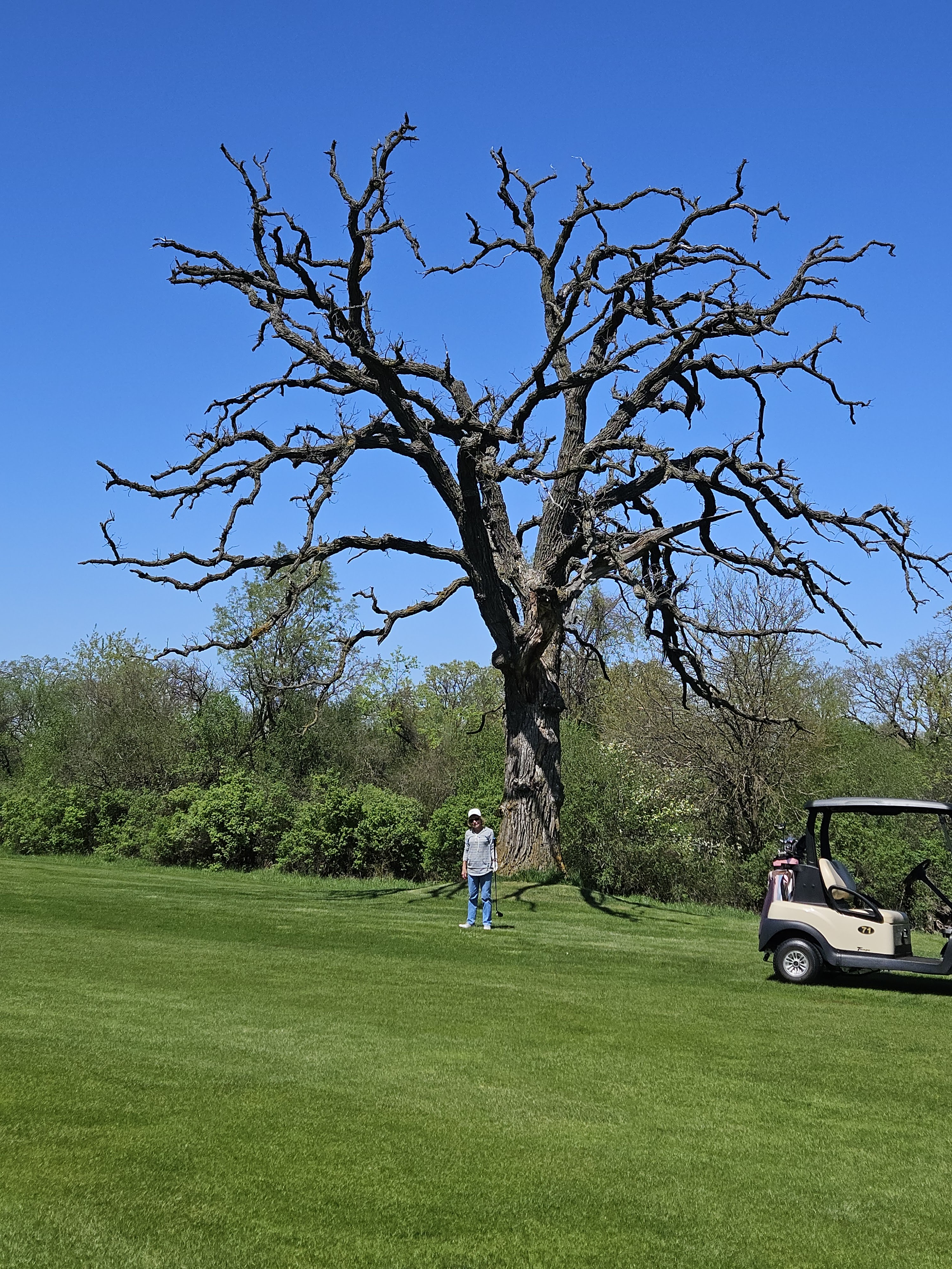 Delbrook Golf Course photo 5