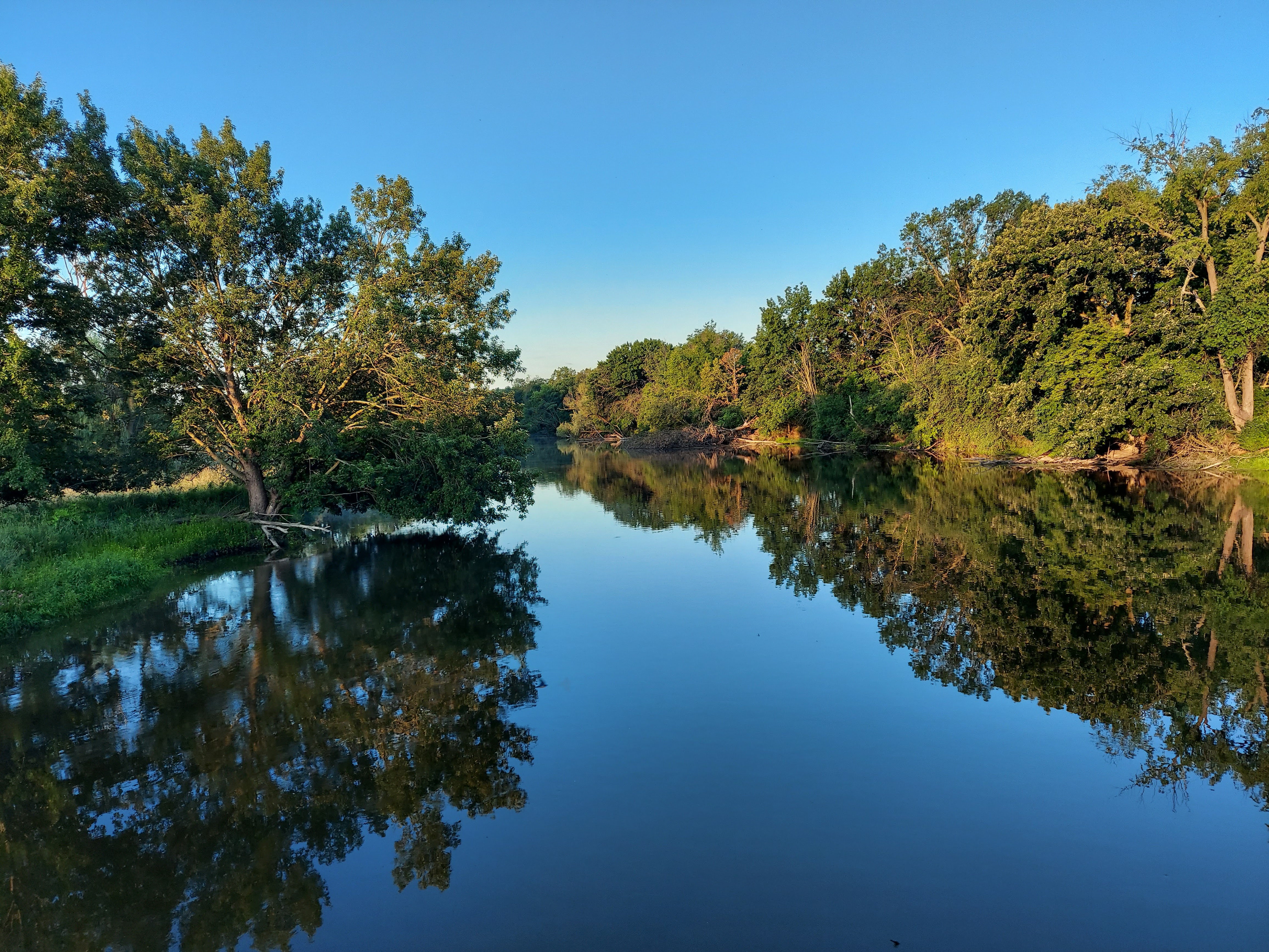 Browns Lake Golf Course photo 5