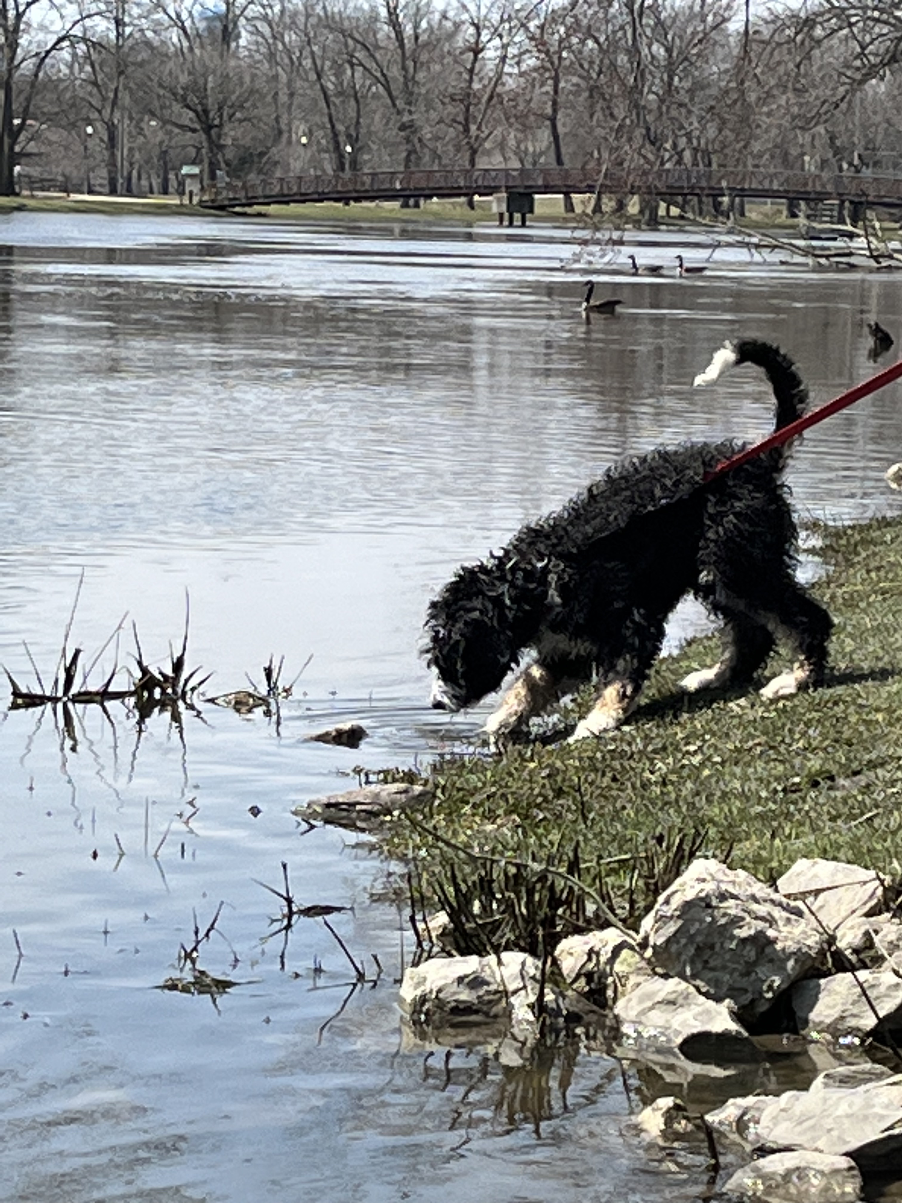Riverside Park photo 6