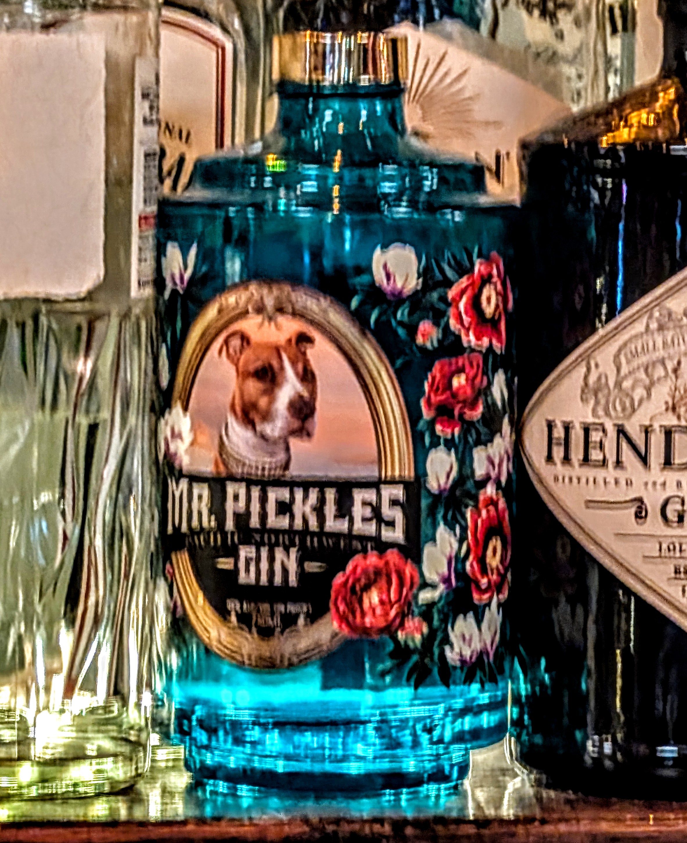 Jack Rabbit Fizz photo 5