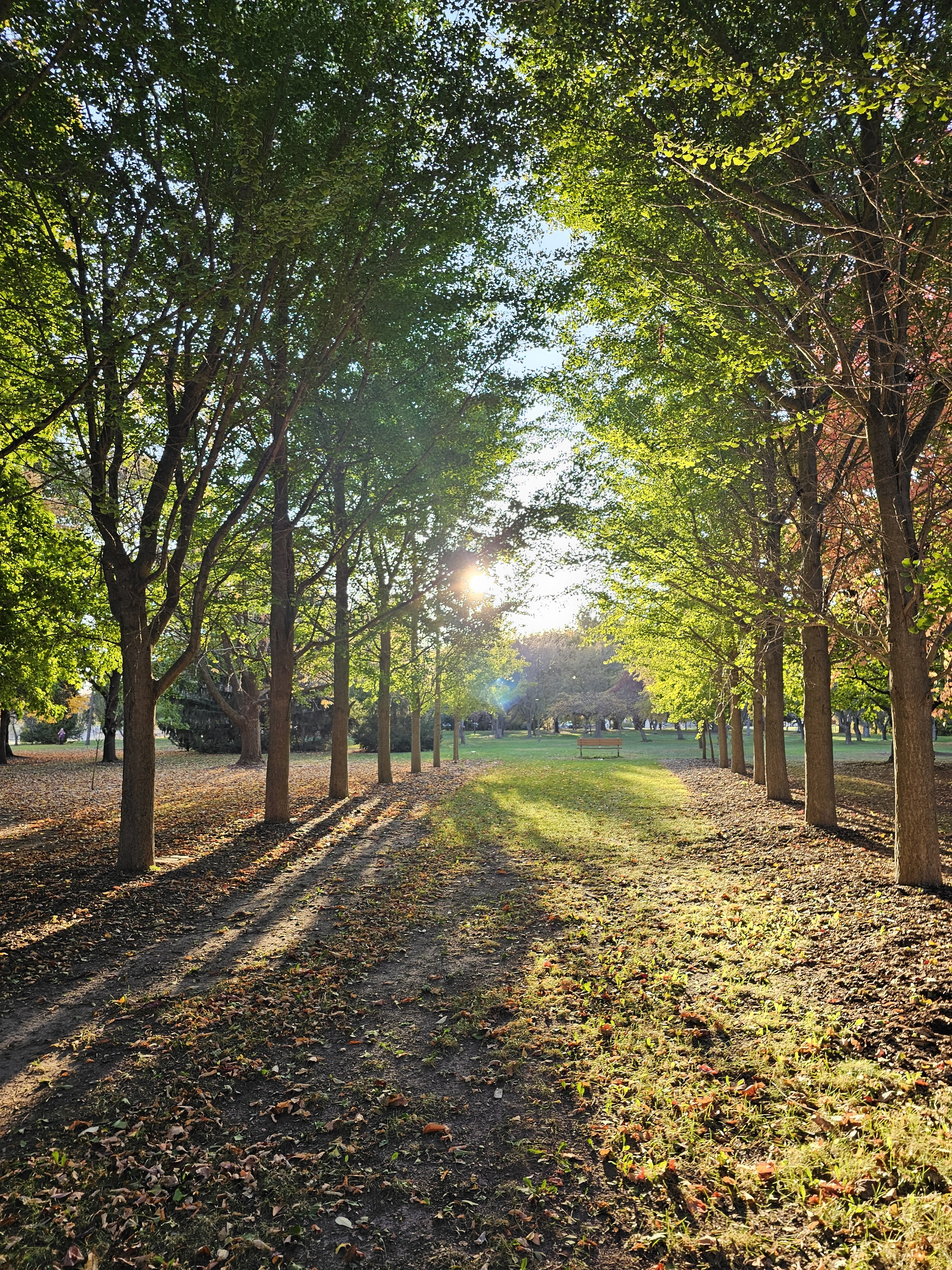 Paul Lange Arboretum photo 3